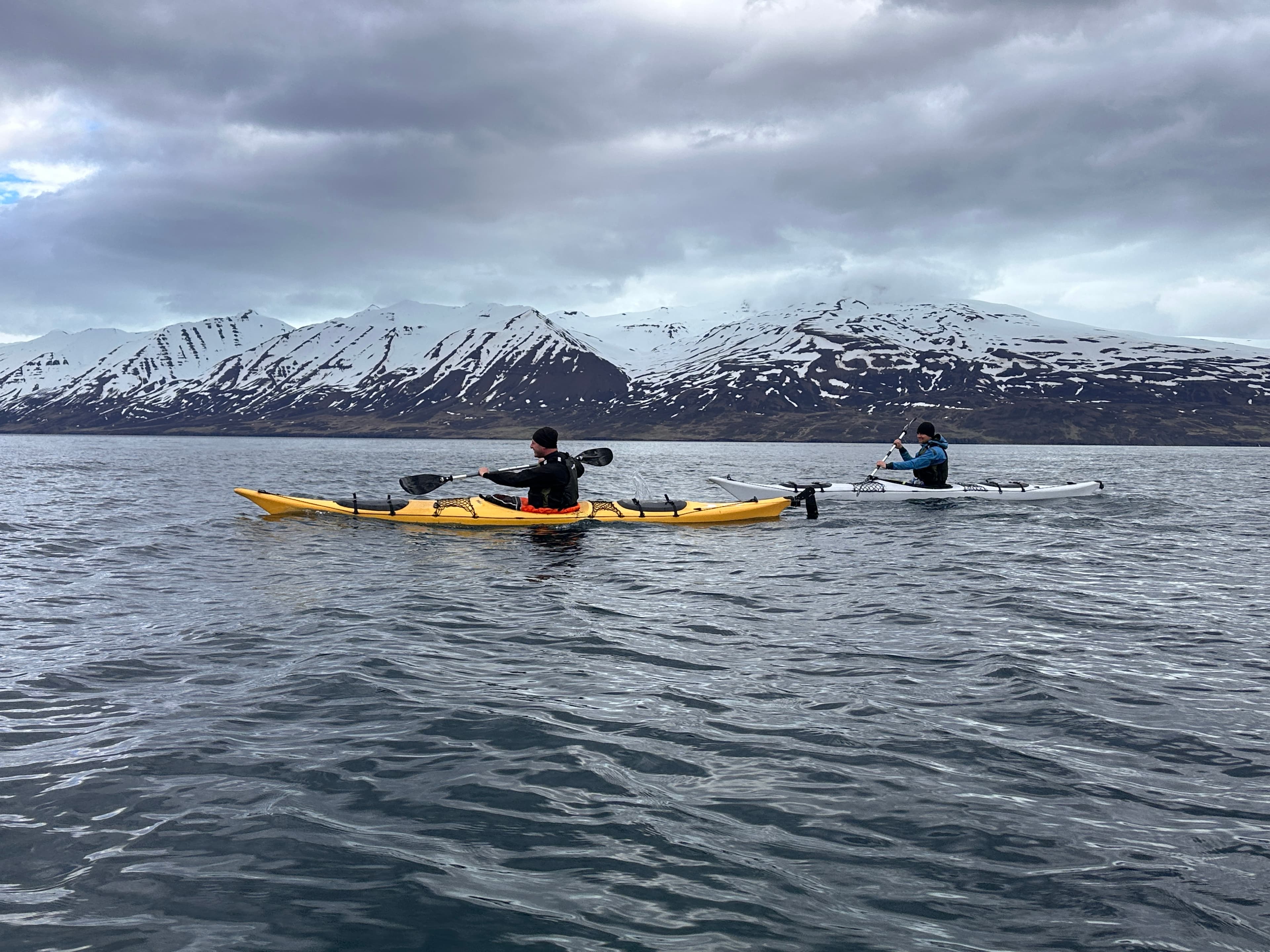 Guided Kayak Tour in Árskógssandur: Explore Coastline & Wildlife - photo 14