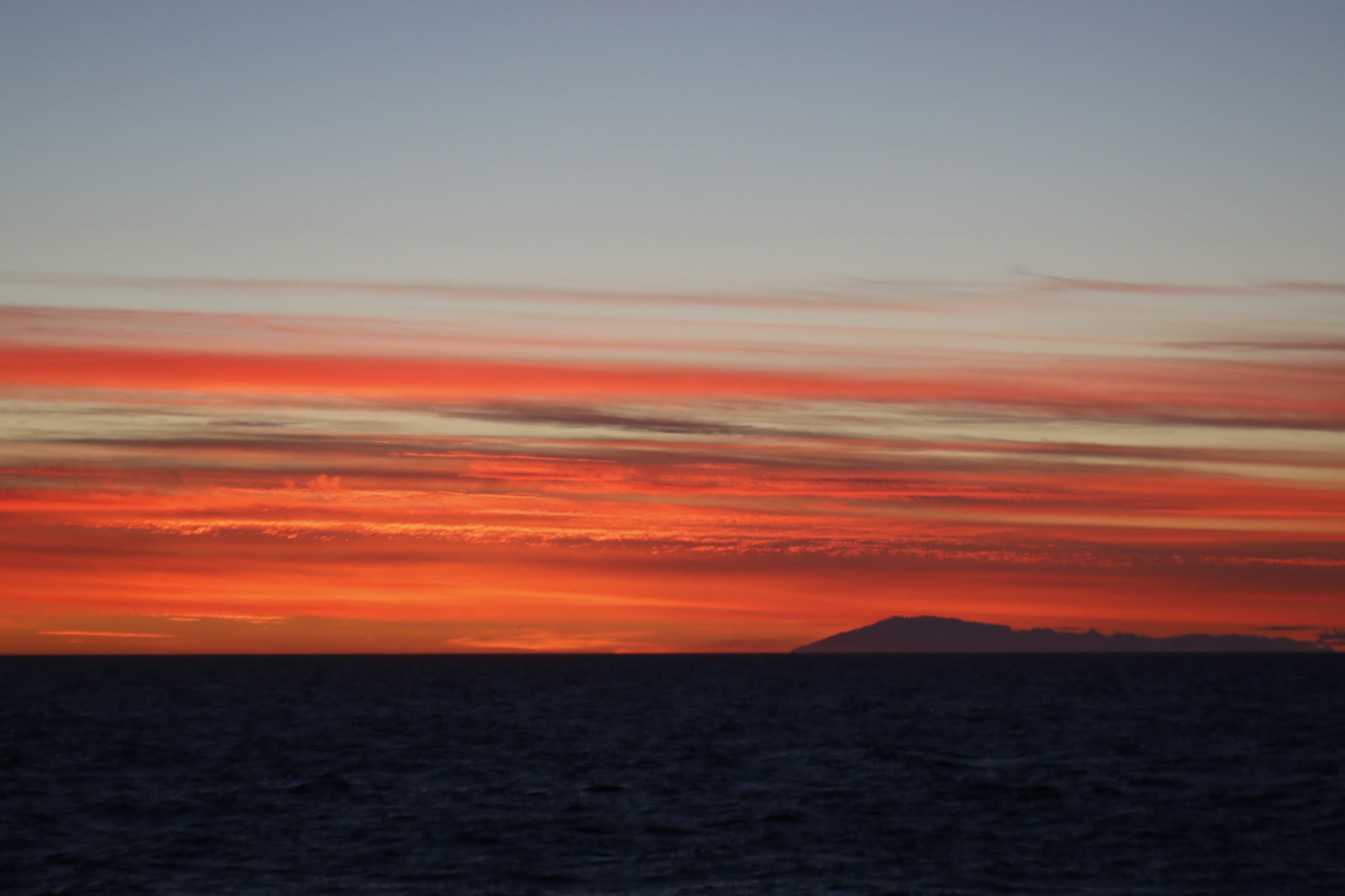 Reykjavík Premium Whales in the Midnight Sun - photo 17