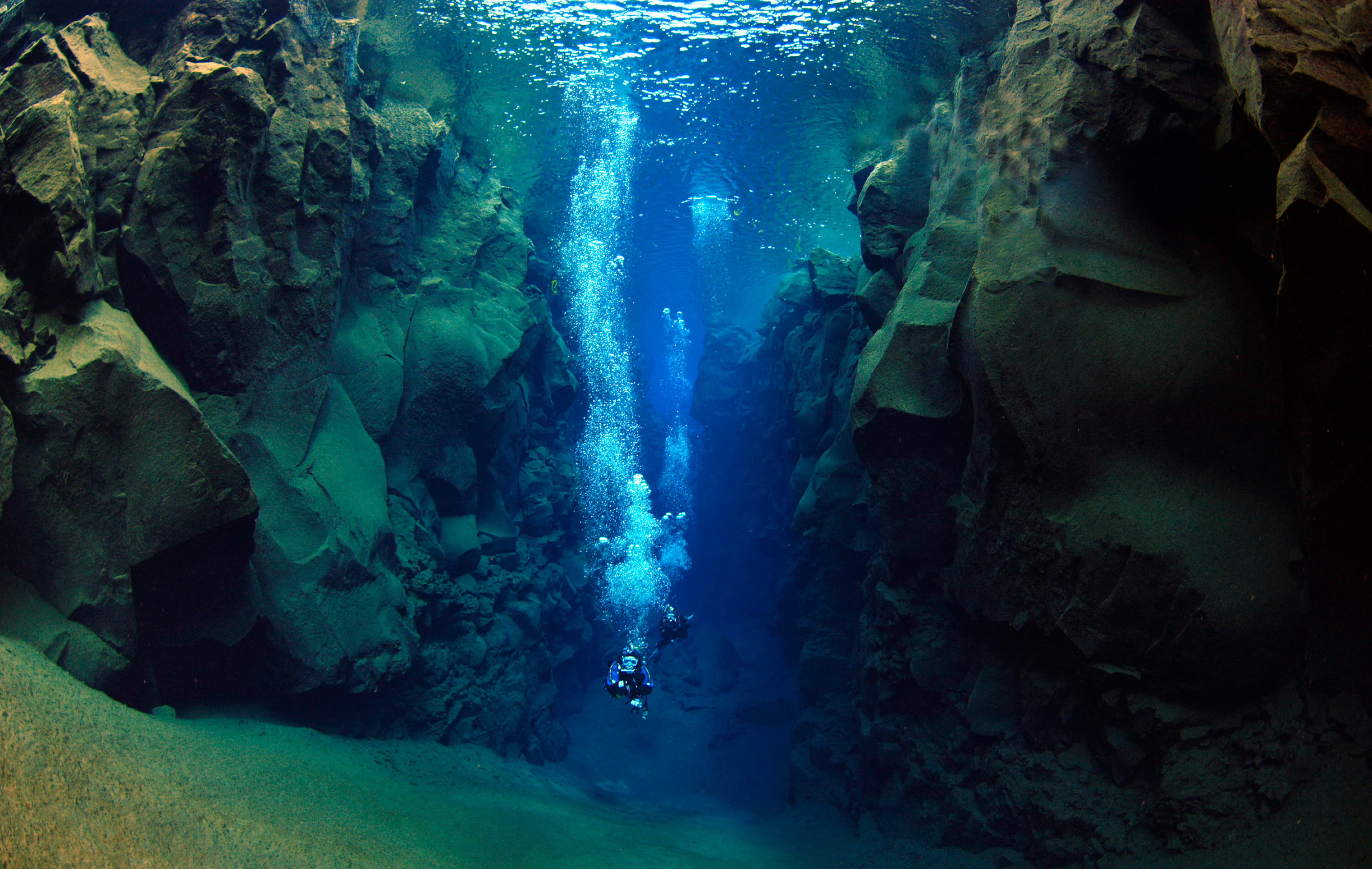 Reykjavík Whales & Diving - photo 3