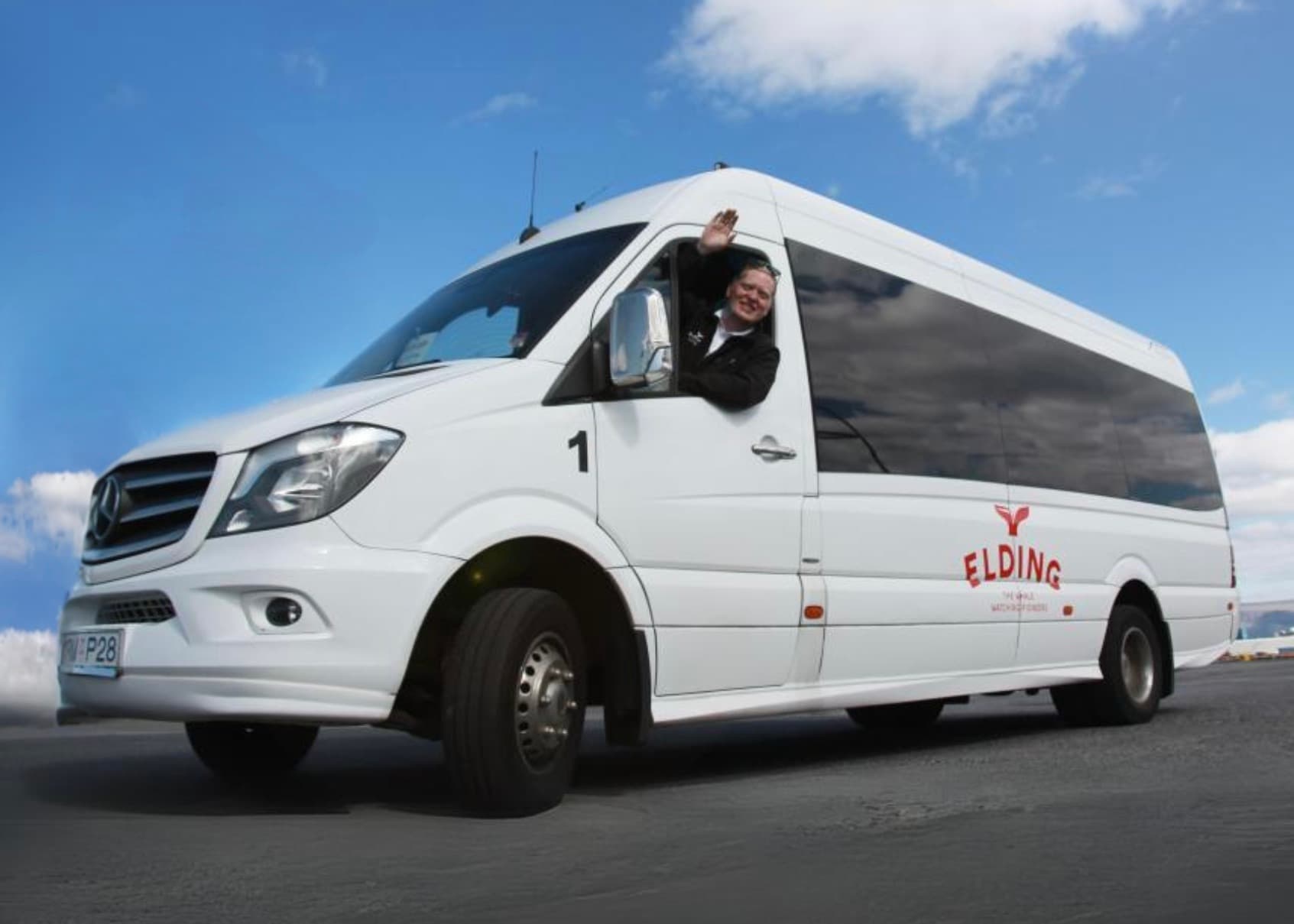 Reykjavík Whales & Puffins - photo 23