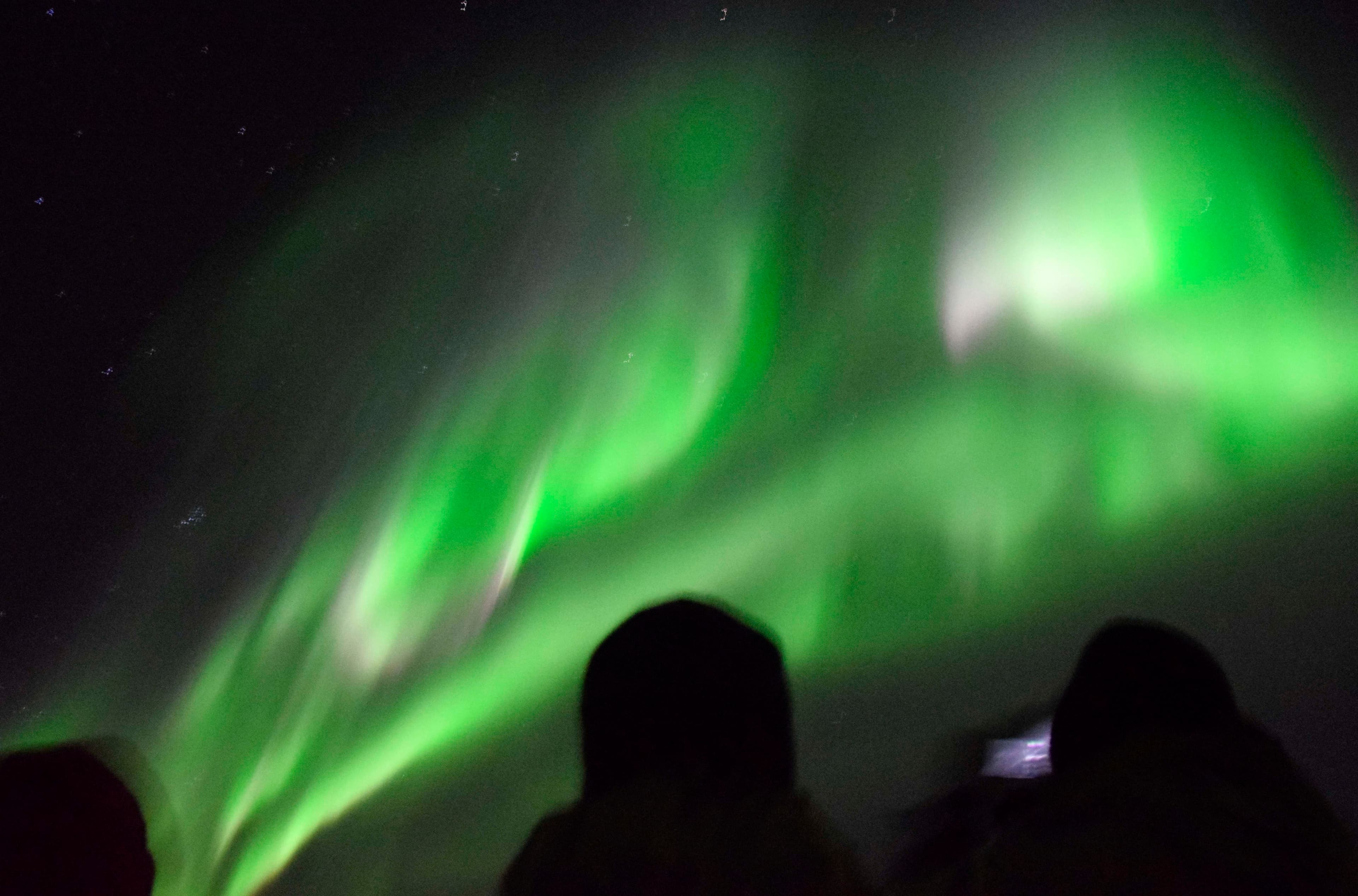 Northern Lights by Boat