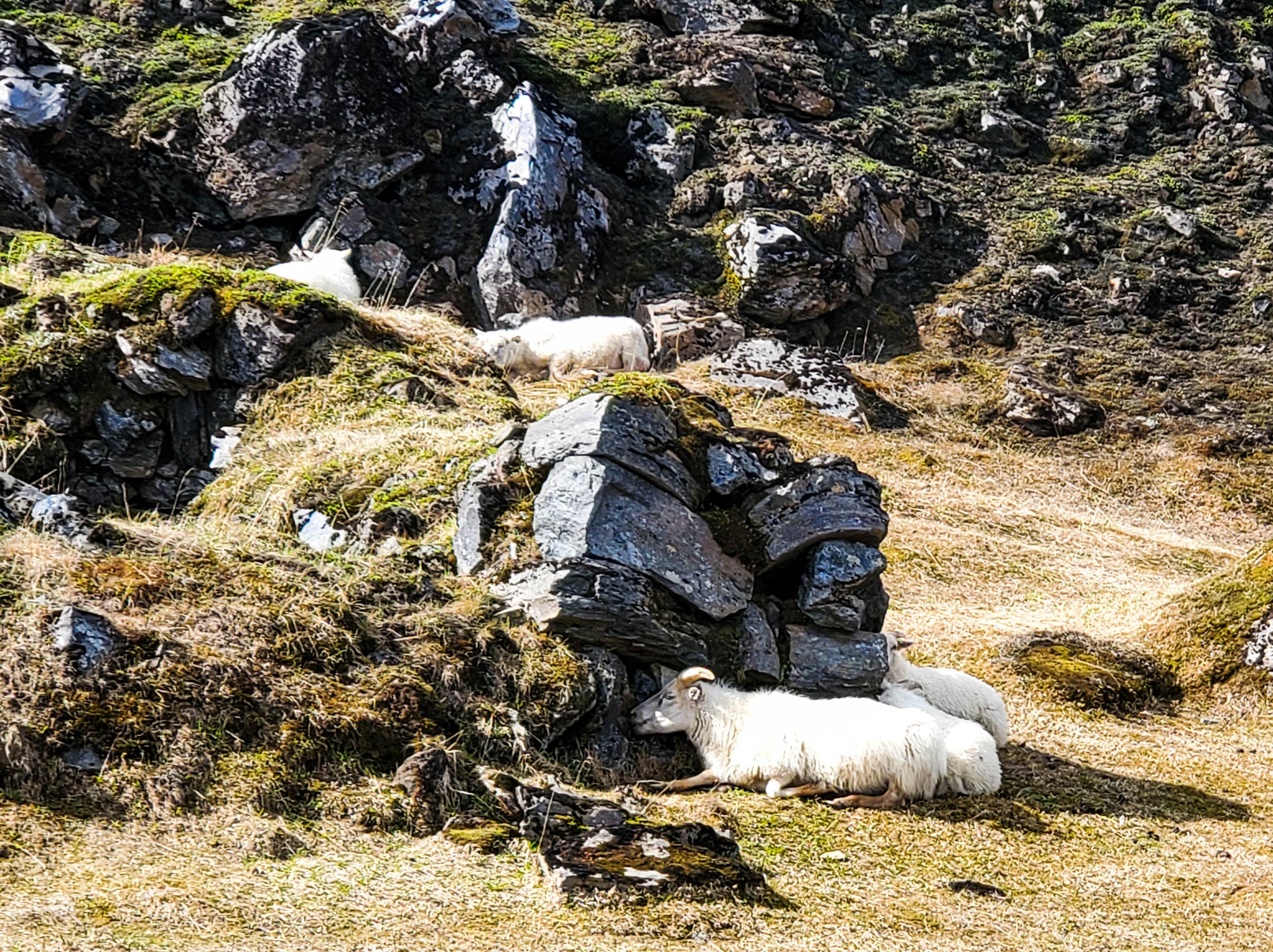 Landmannalaugar Super Jeep from Reykjavik - photo 16