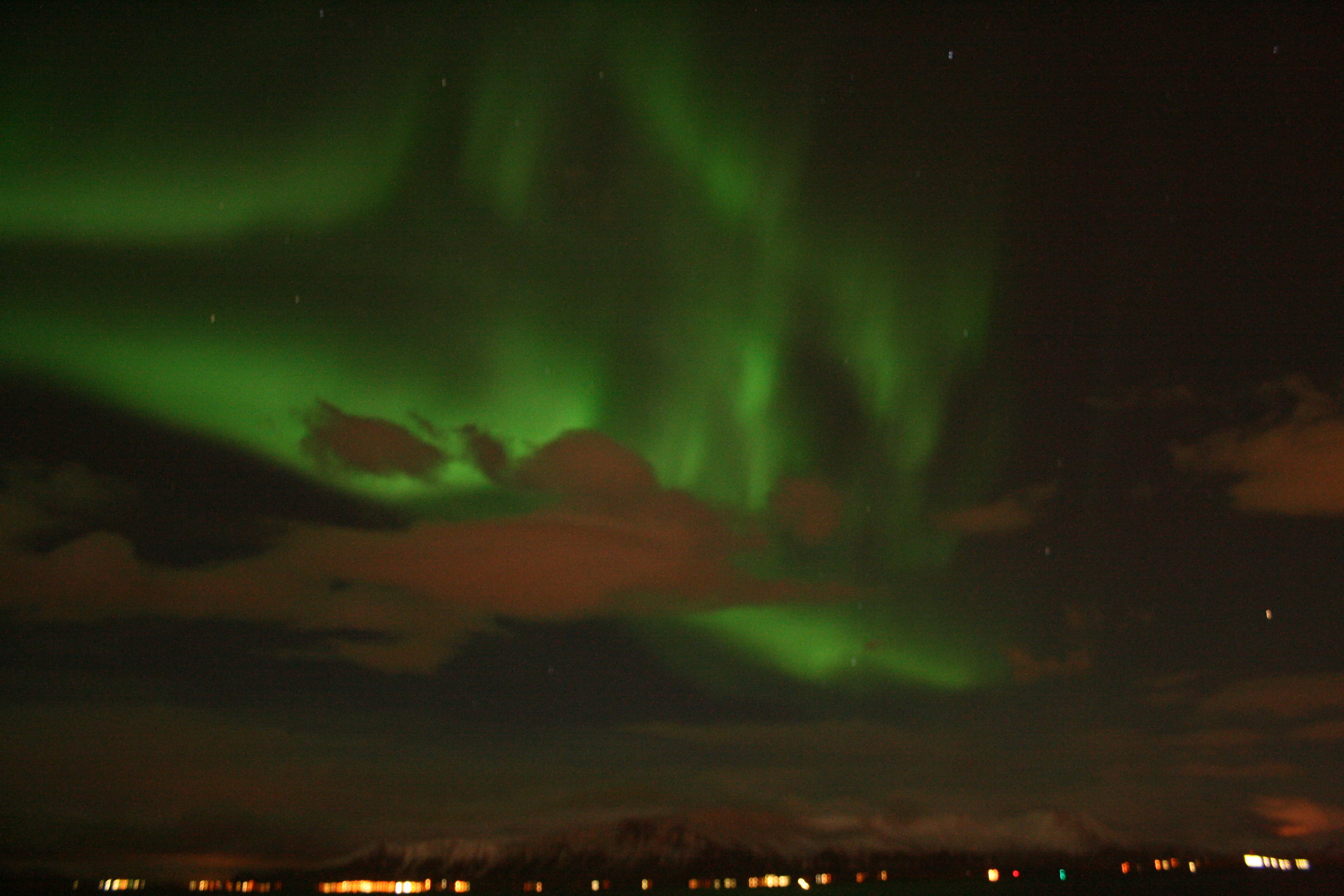 Whale Watching & Northern lights Combo Cruise from Reykjavik - photo 89