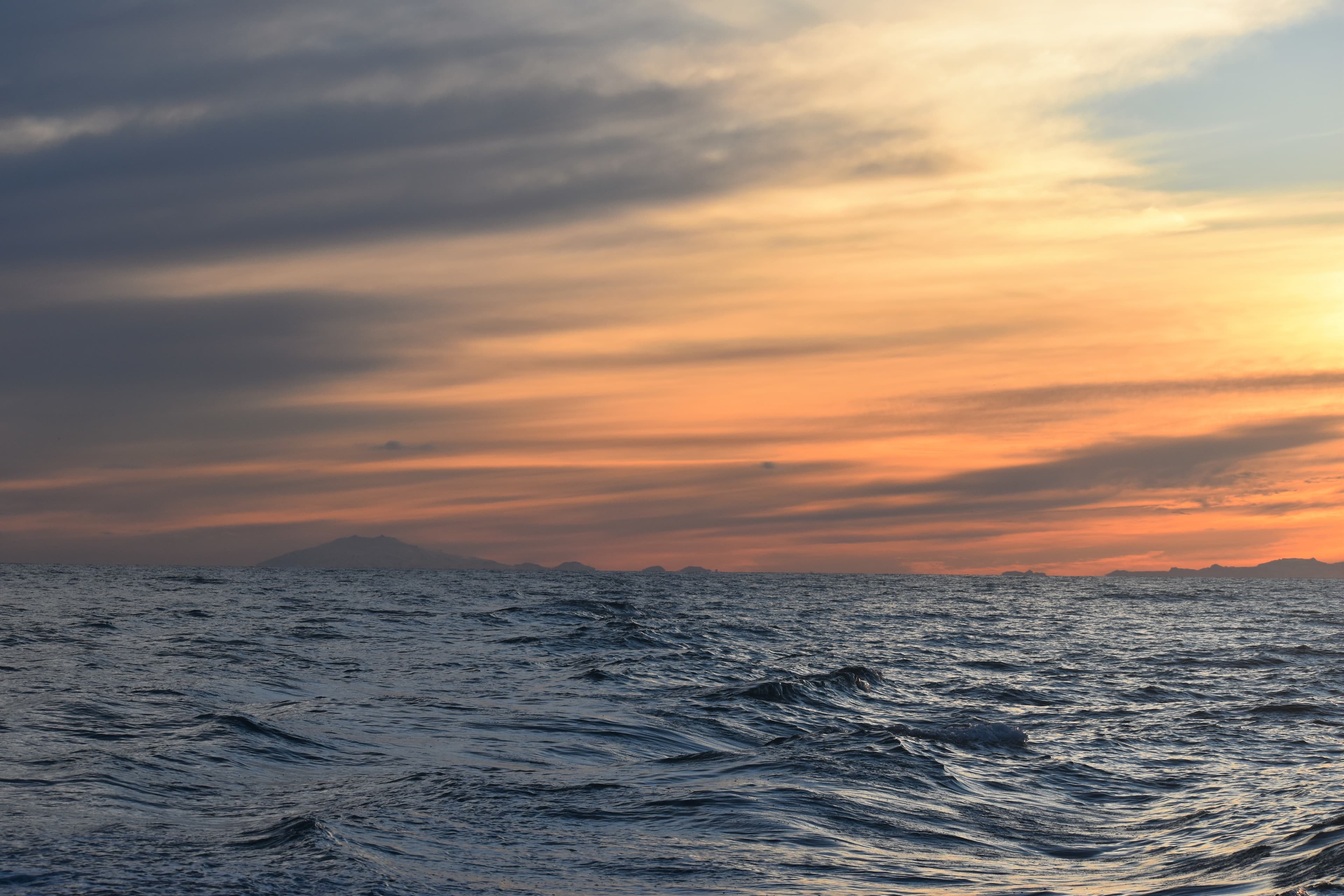 Akureyri Express Whales in the Midnight Sun - photo 7