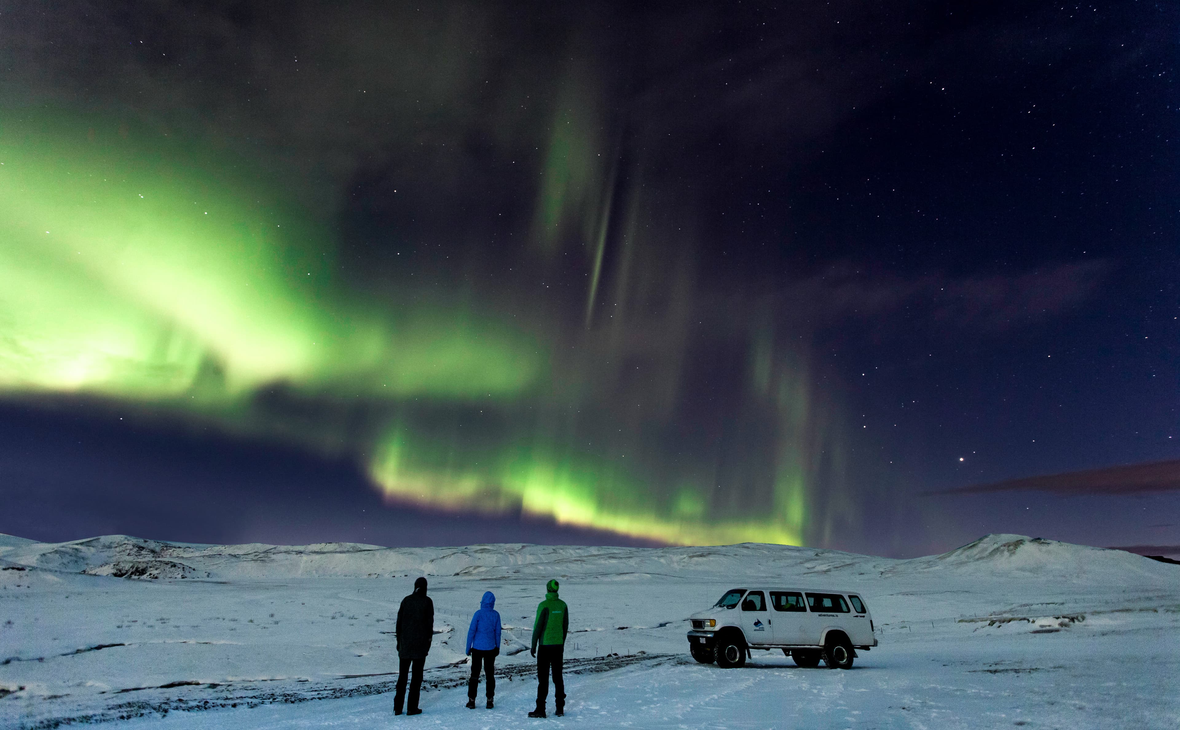 Whale Watching and Northern Lights from Reykjavík - photo 4