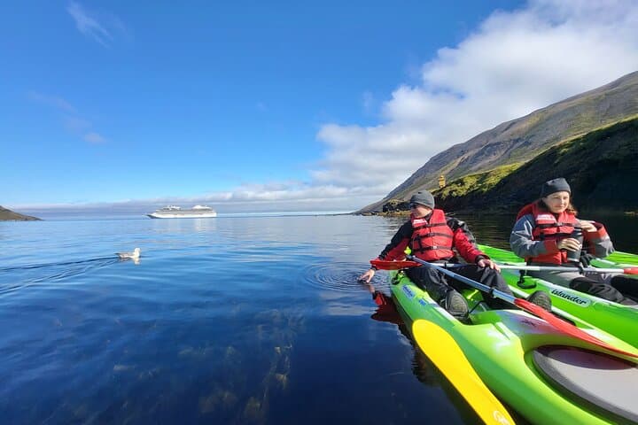 Private: Guided kayak tour in Siglufjörður / Siglufjordur. - photo 4