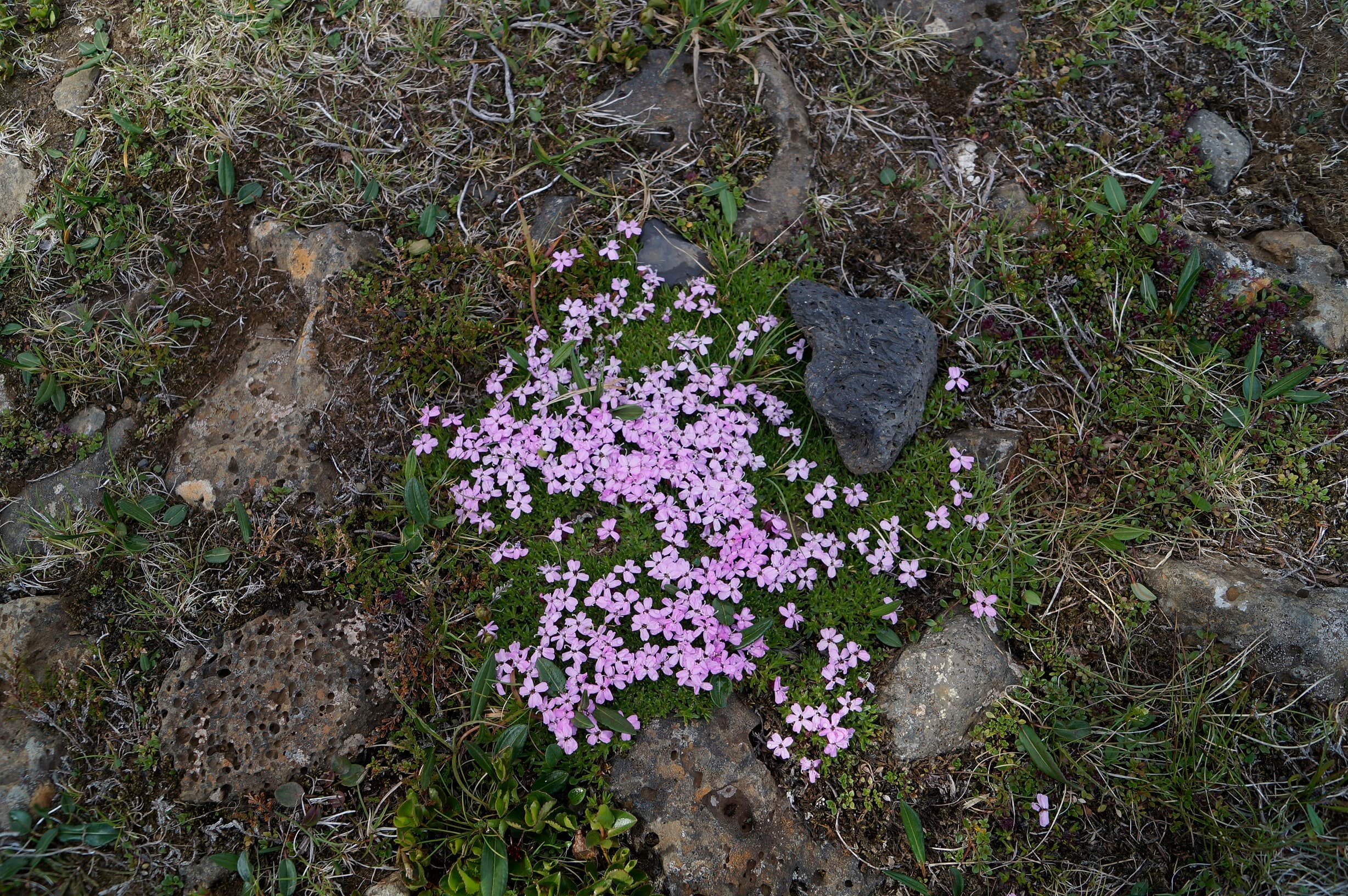 Private Day tour, you decide!  - photo 4