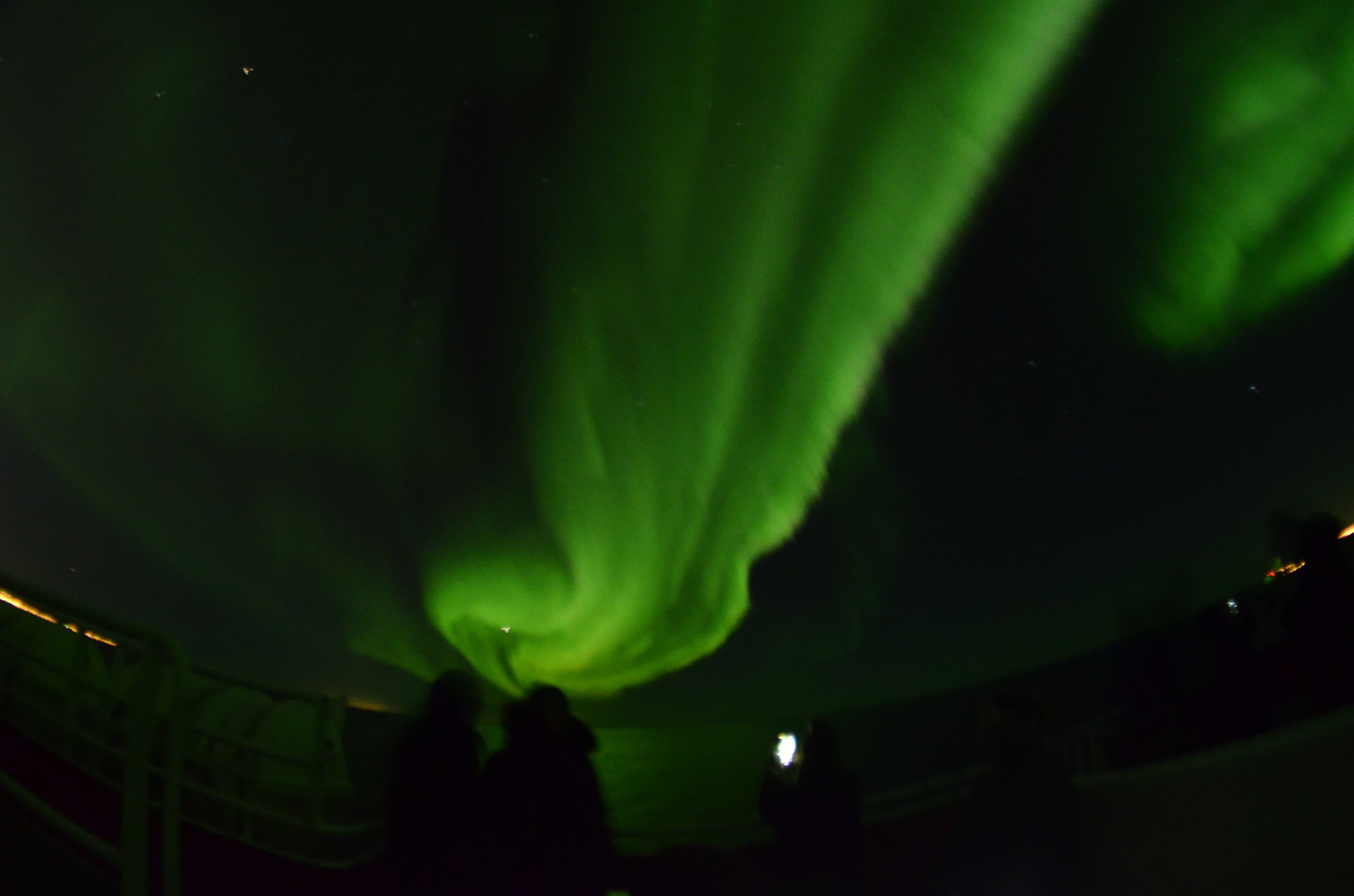 Northern Lights Cruise & The Reykjavík Food Walk - photo 11