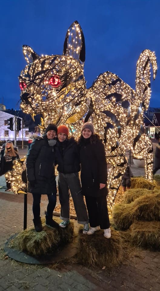 Private Reykjavik Christmas Walking Tour - photo 9