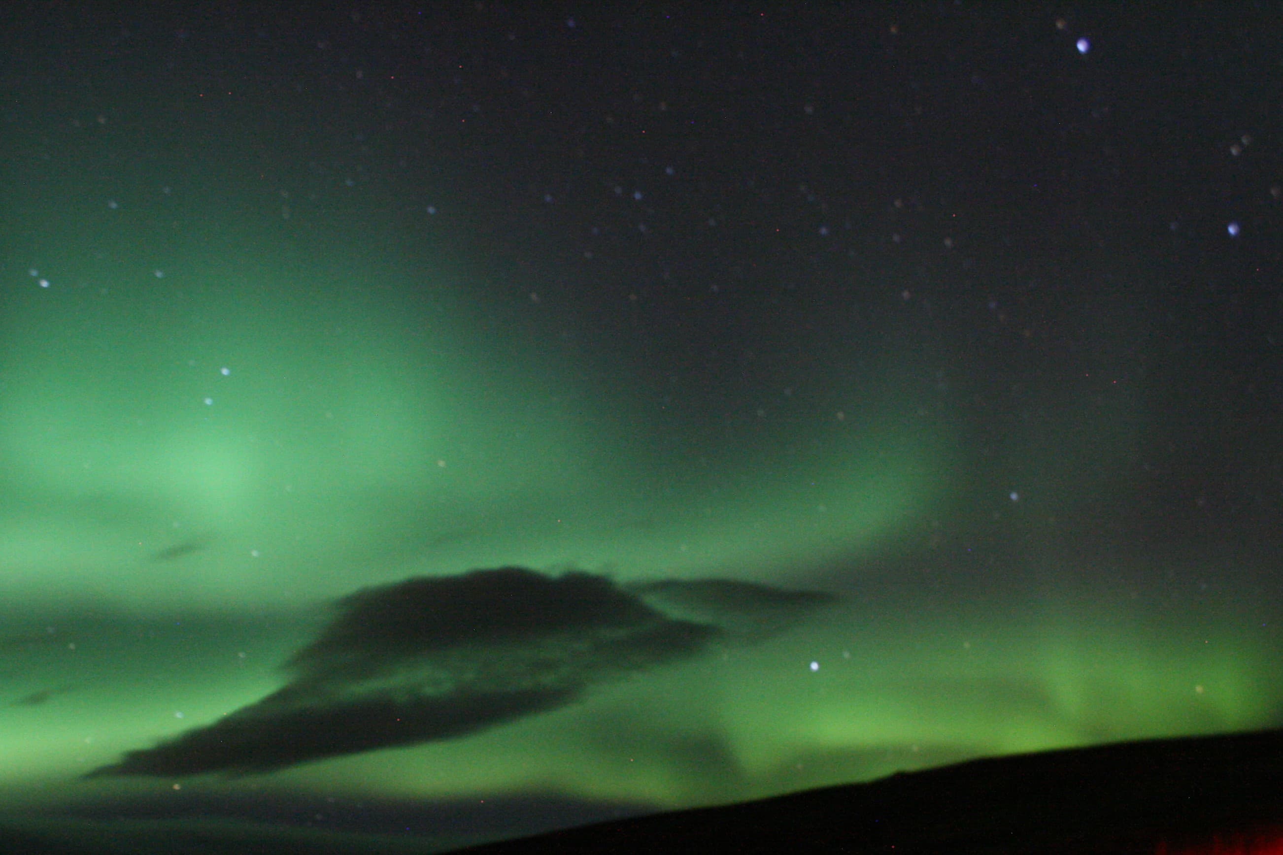 Northern Lights by boat from Reykjavik - photo 19