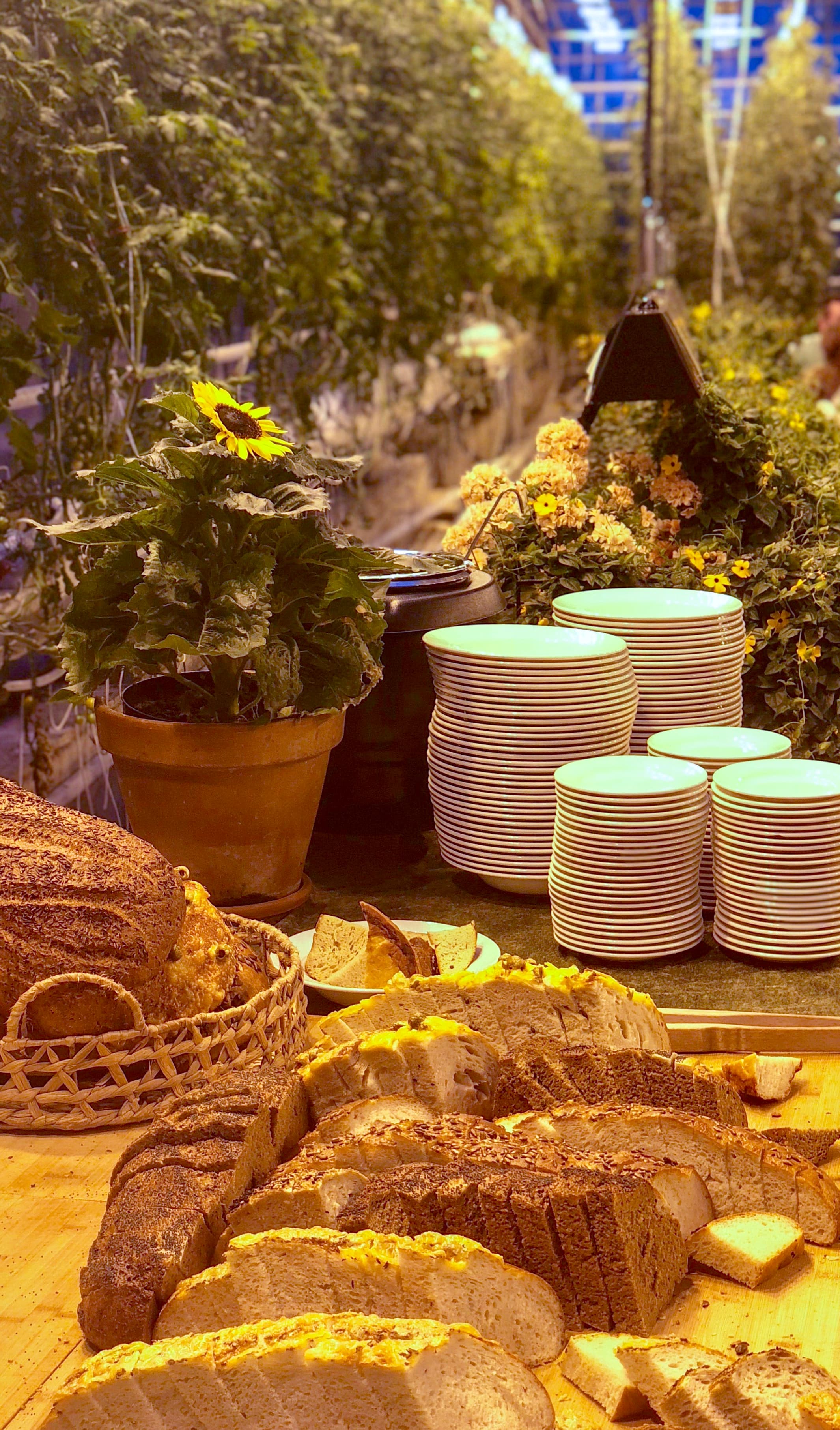 Private Gourmet Golden Circle Tour - photo 16