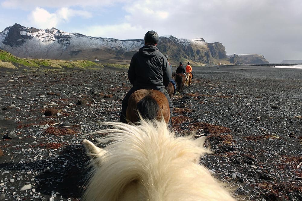 Glacier Hike & Horse Riding in South Iceland - photo 12