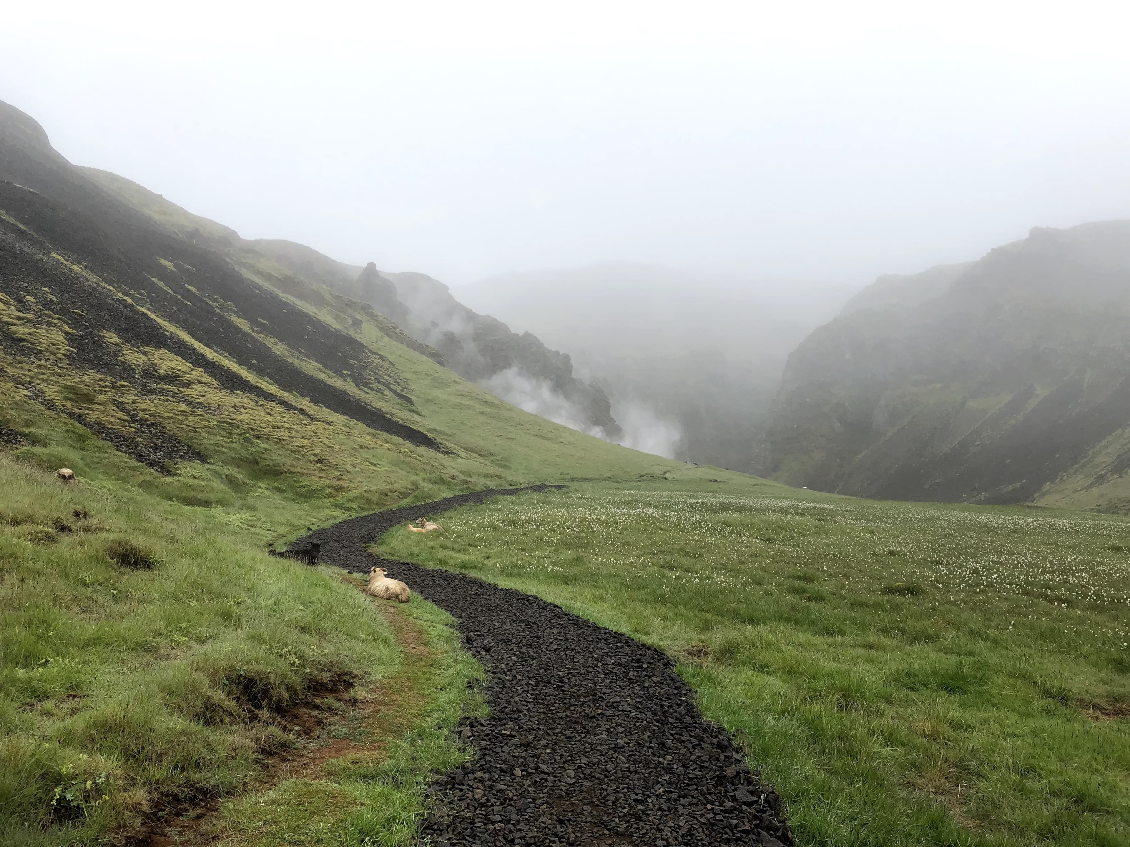 PRIVATE: Hiking up Reykjadalur Valley - Hot River 