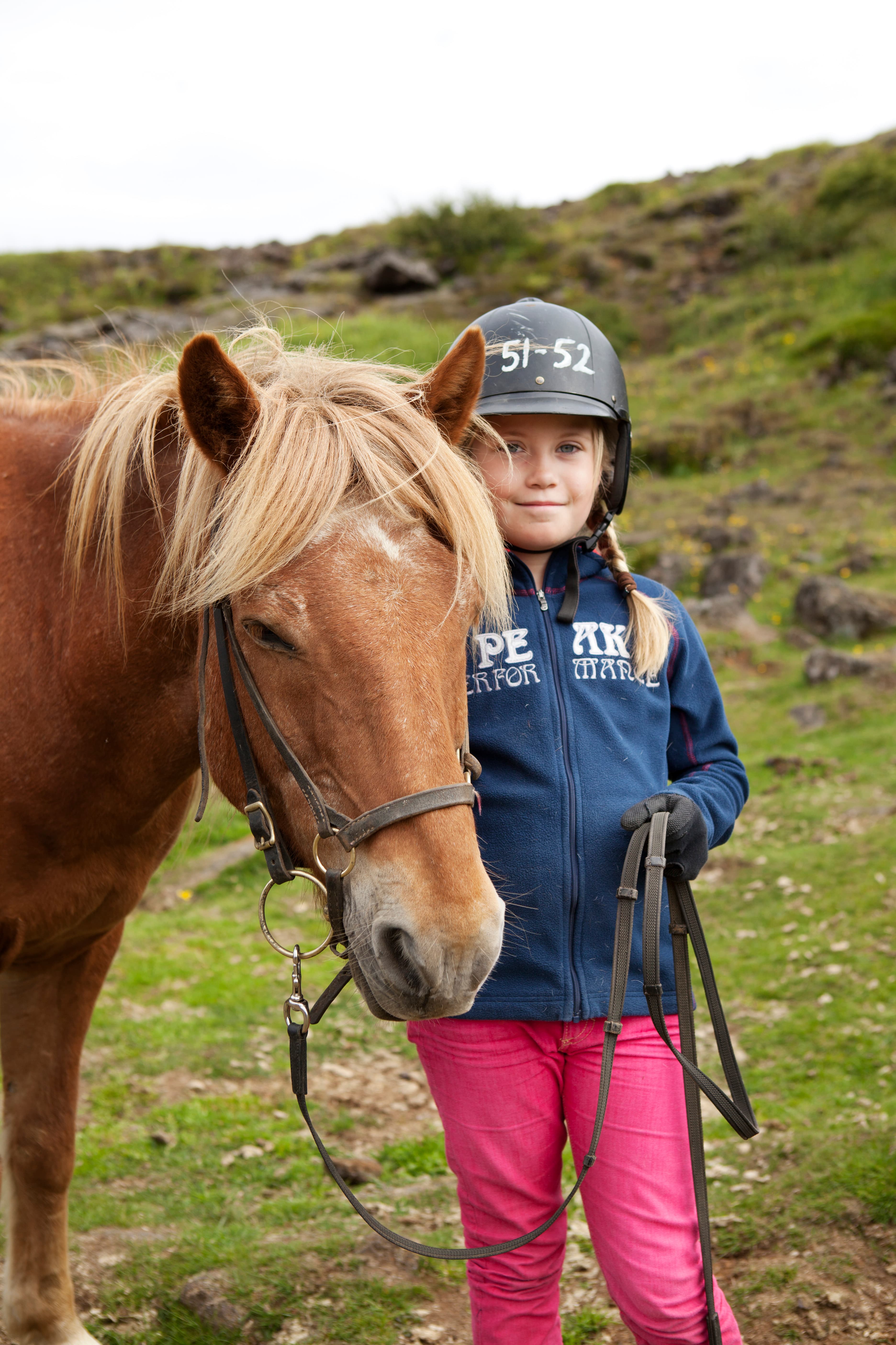 Horses and Waffles - photo 5