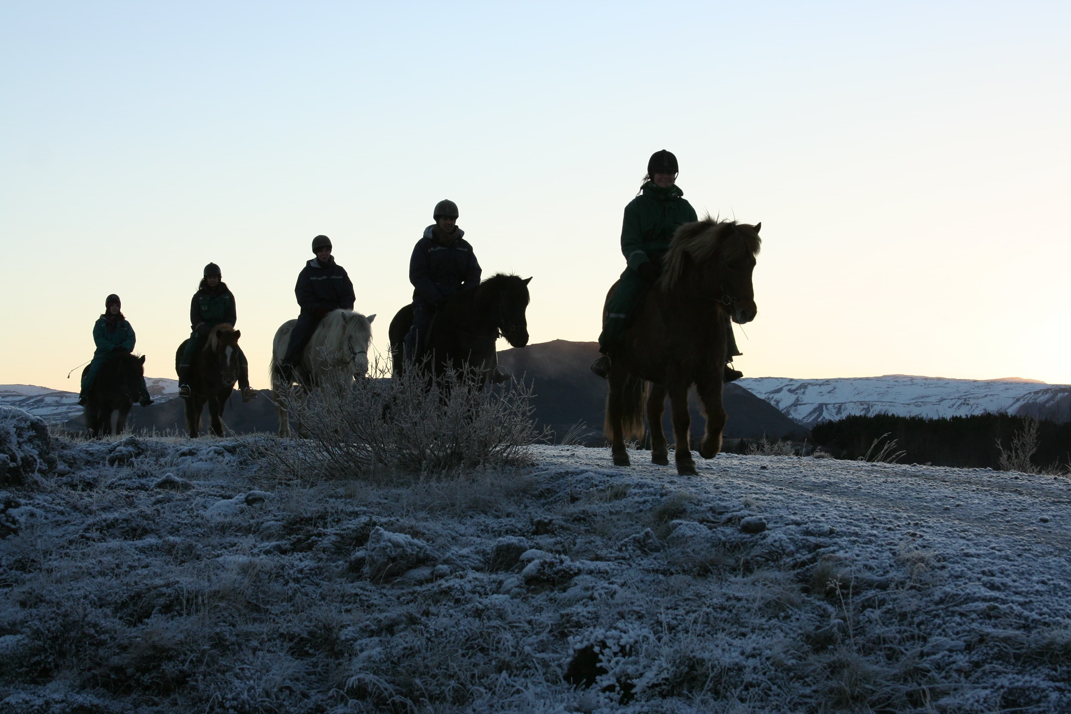 Viking Tour  - photo 11