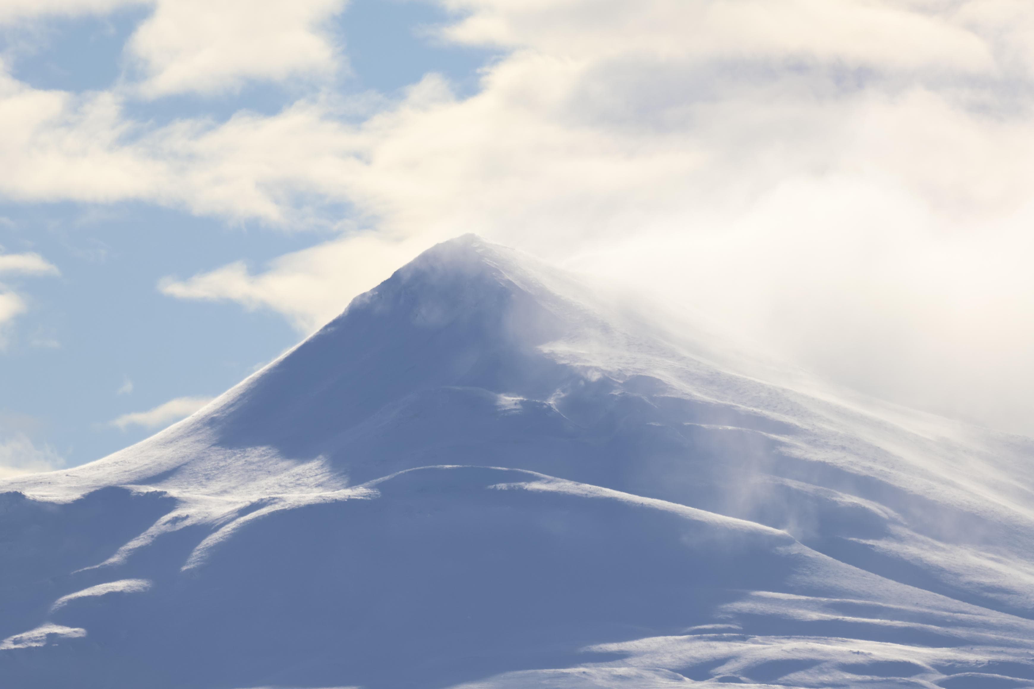 Akureyri Express Whales & Eyjafjord - photo 17