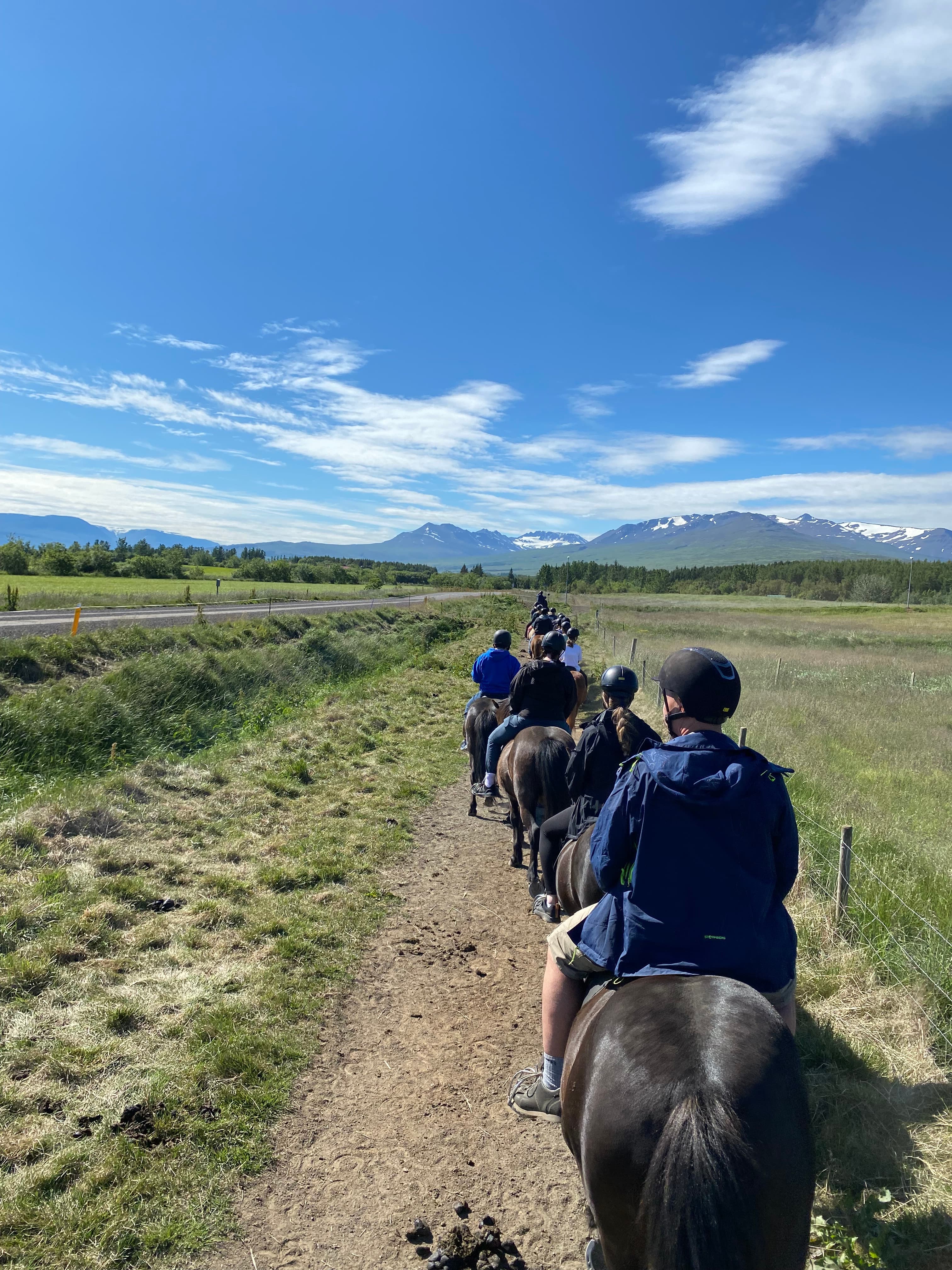 Horse Riding Tour and Explore Scenery in Gásir Akureyri - photo 16
