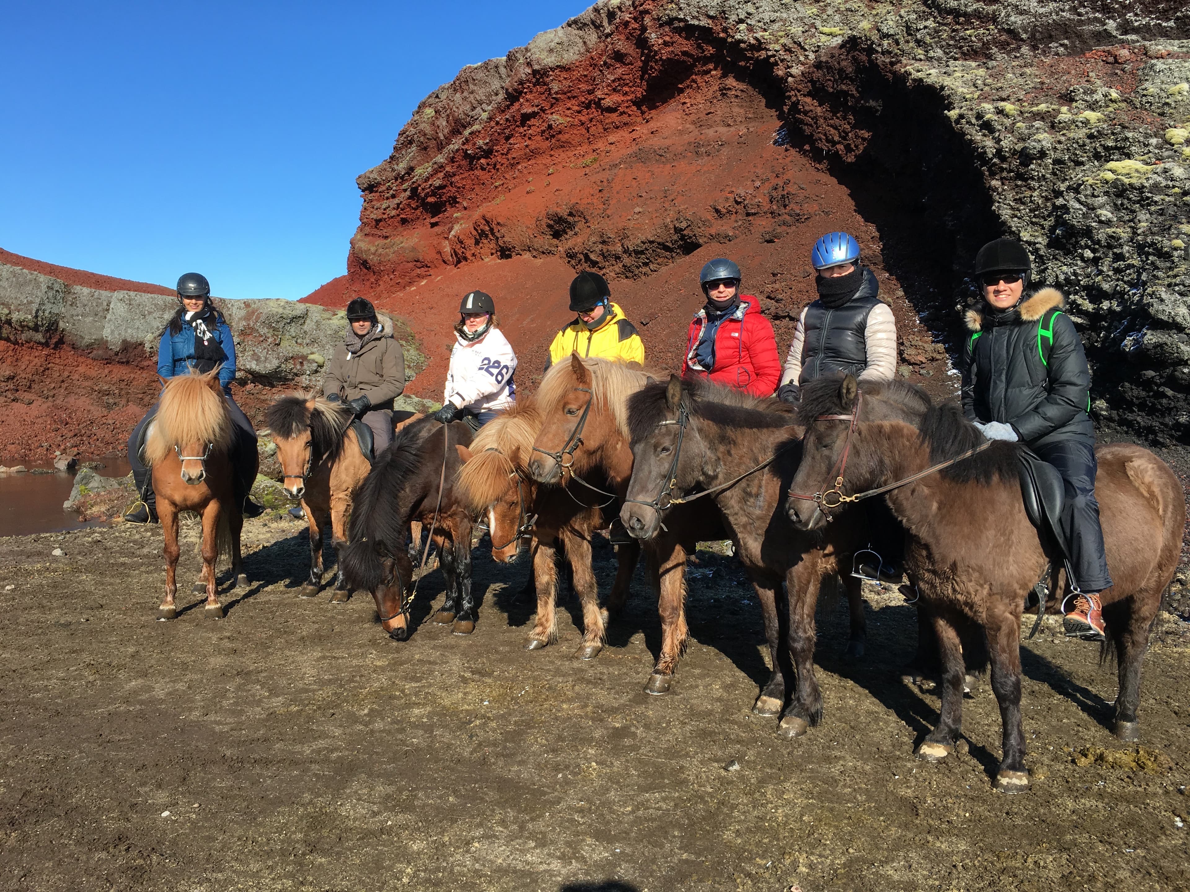 Viking Horses Mjölnir Afternoon Tour - photo 5