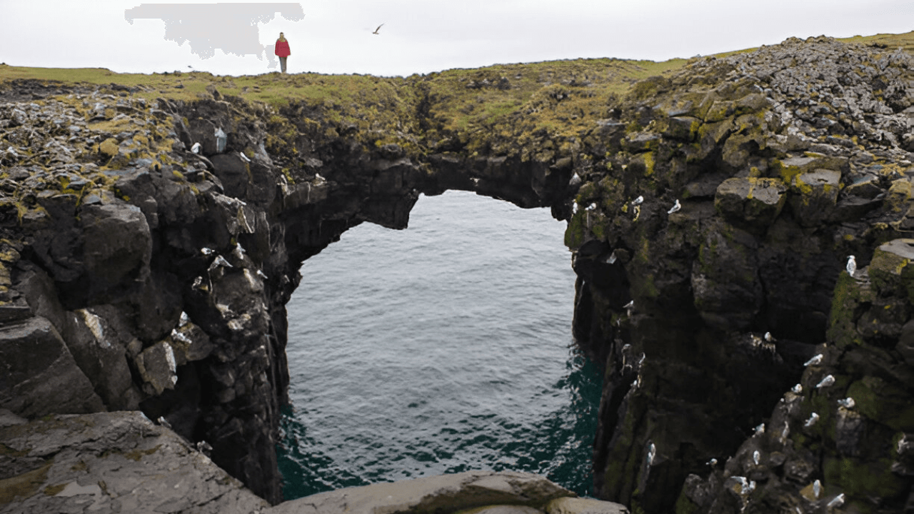 Snaefellsnes Peninsula tour in Spanish: Small group from Reykjavik - photo 13