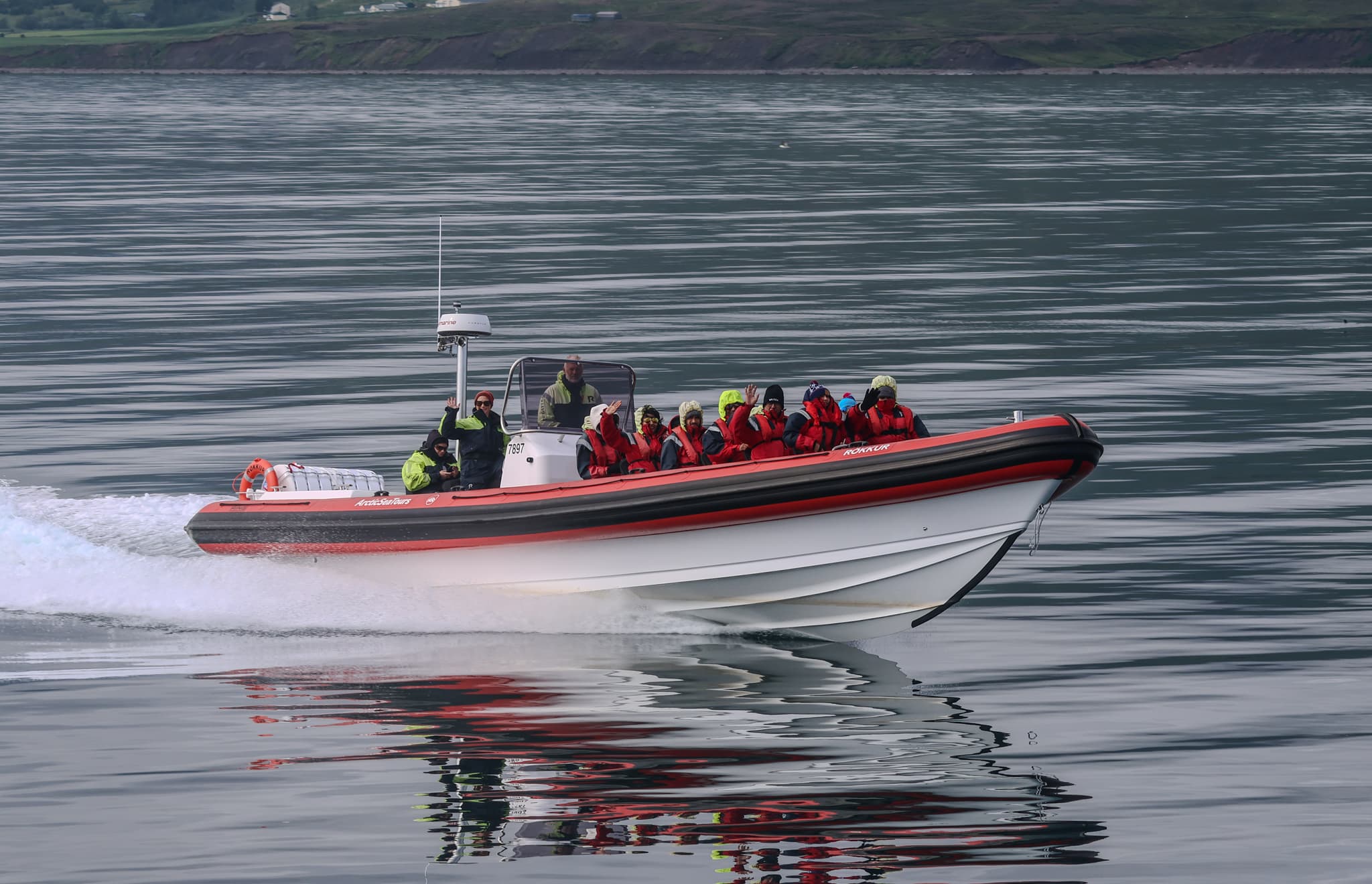 Express Whale Watching From Dalvík - photo 3
