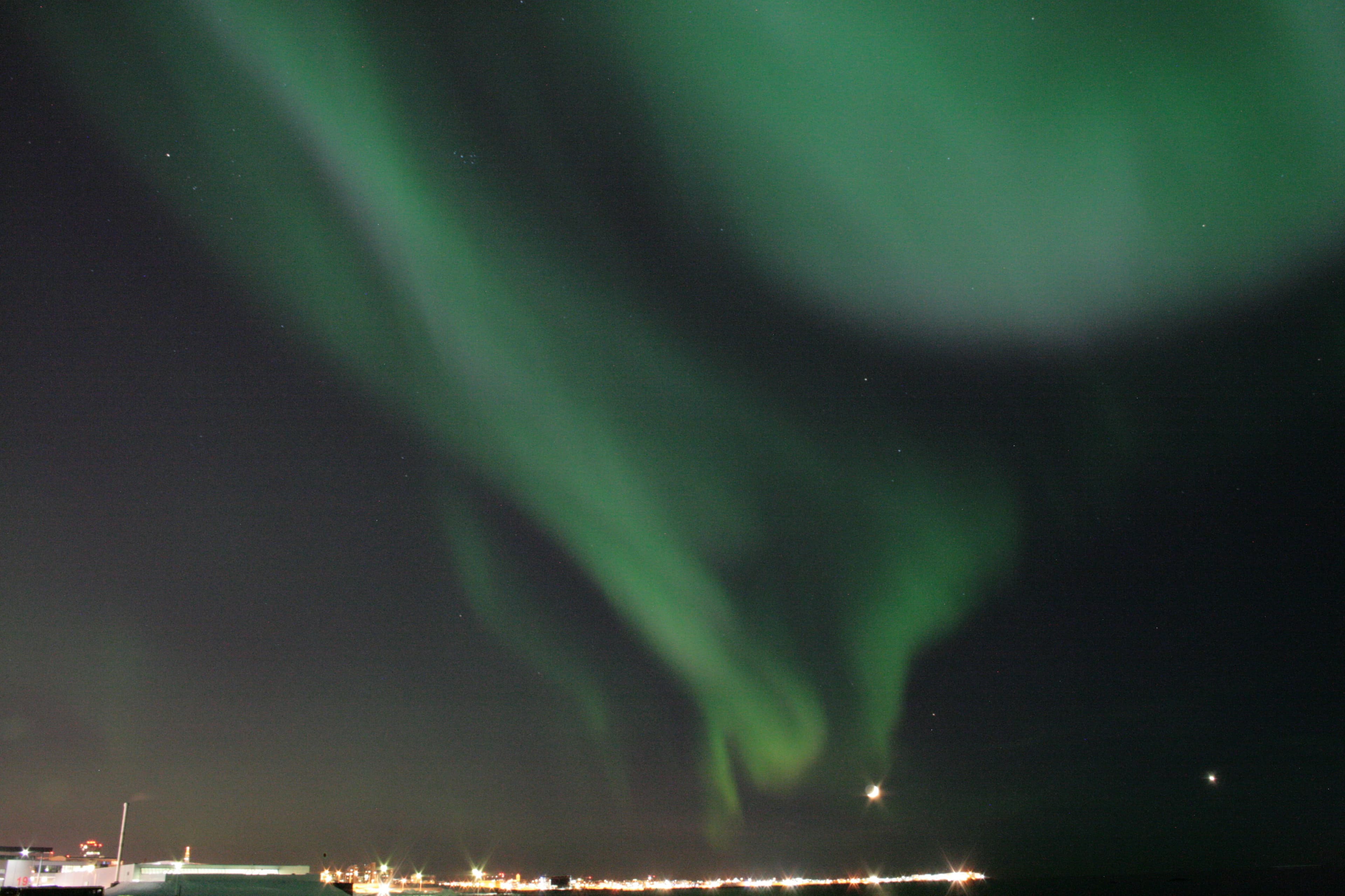 Whale Watching & Northern lights Combo Cruise from Reykjavik - photo 86