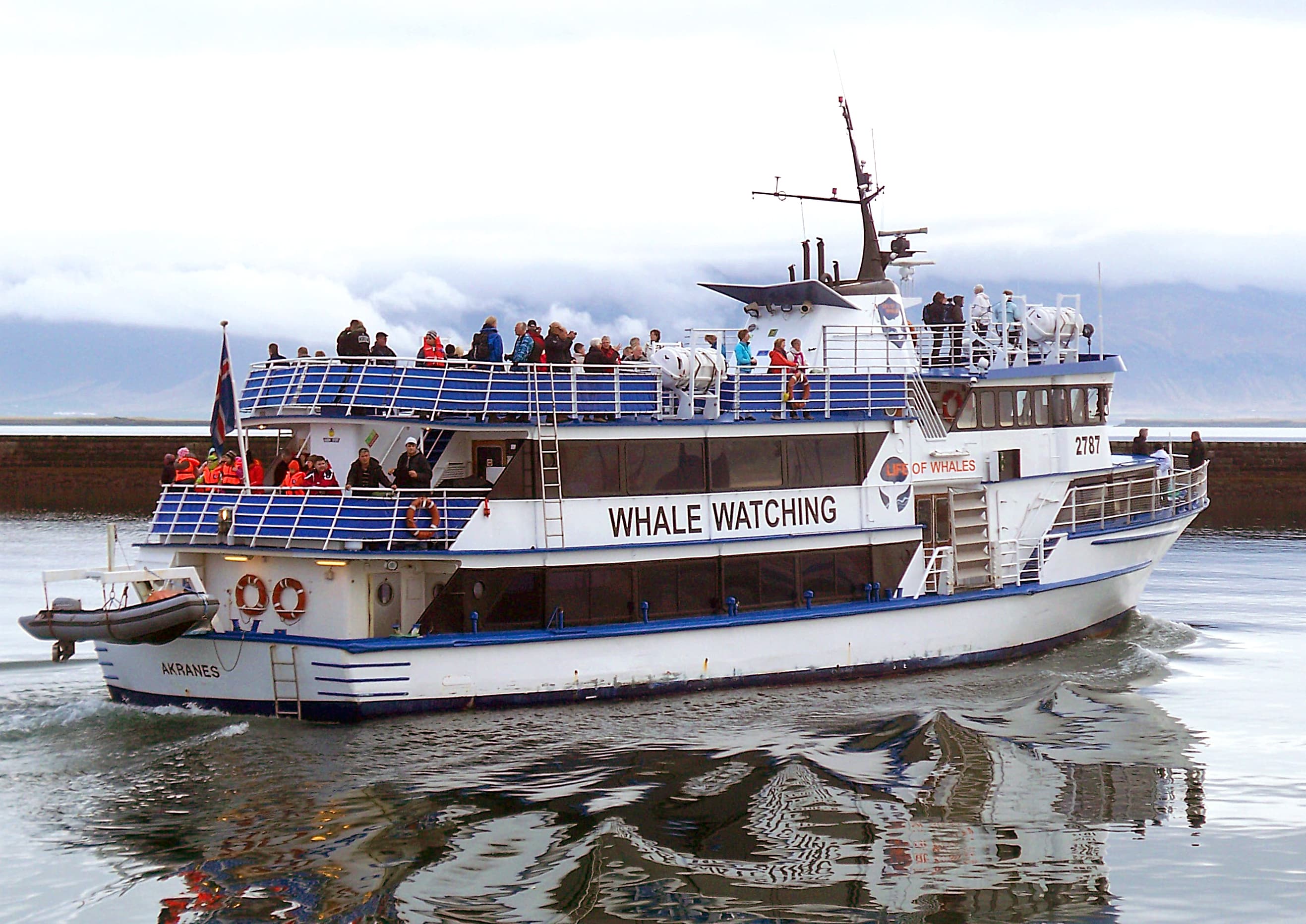 Whale Watching & Caving - photo 13