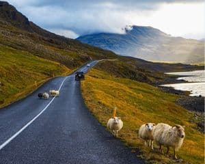 Total Solar Eclipse Photography Tour - Snæfellsnes Peninsula - photo 5