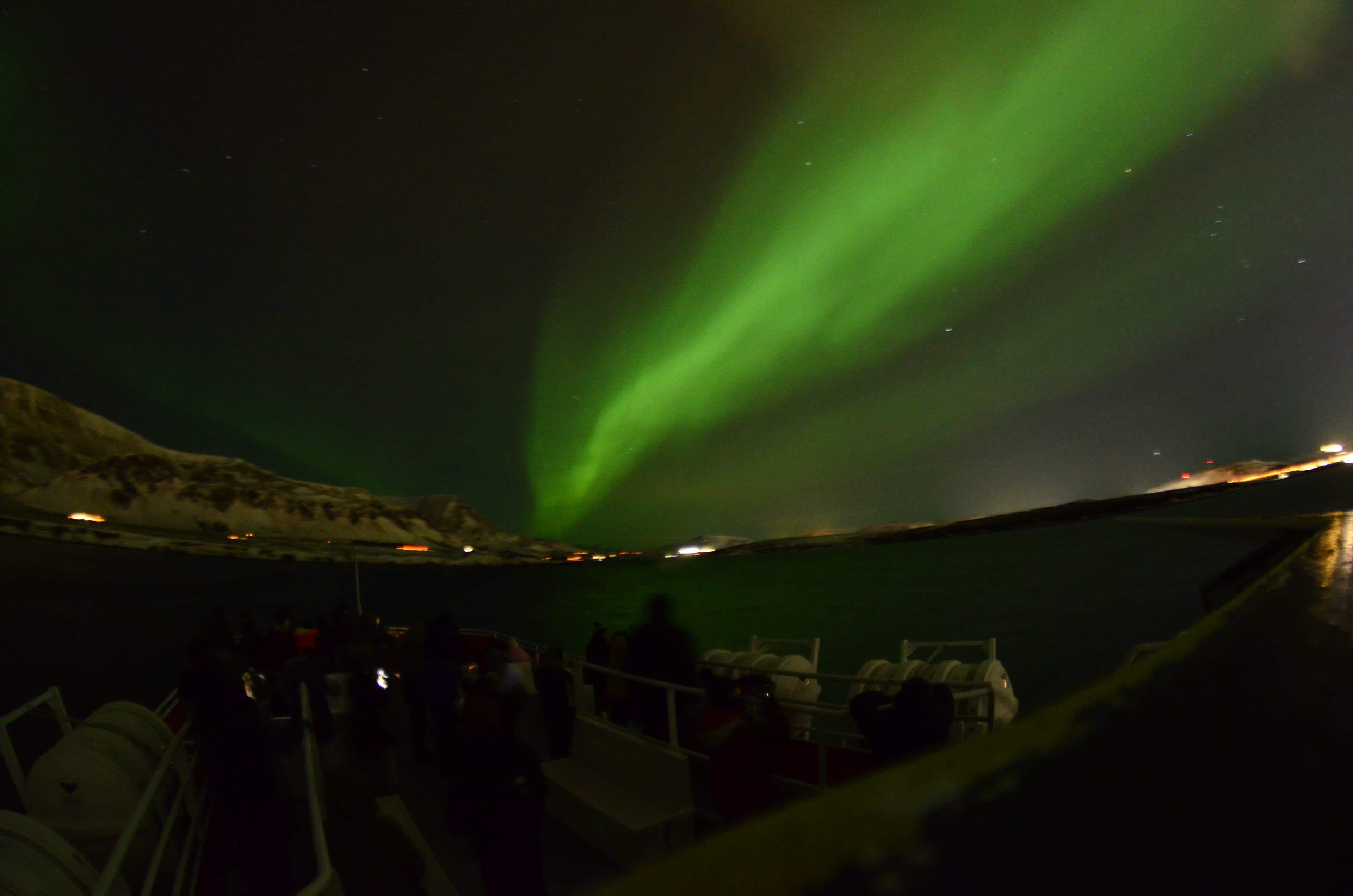 Reykjavík Northern Lights & City Cruise - photo 13