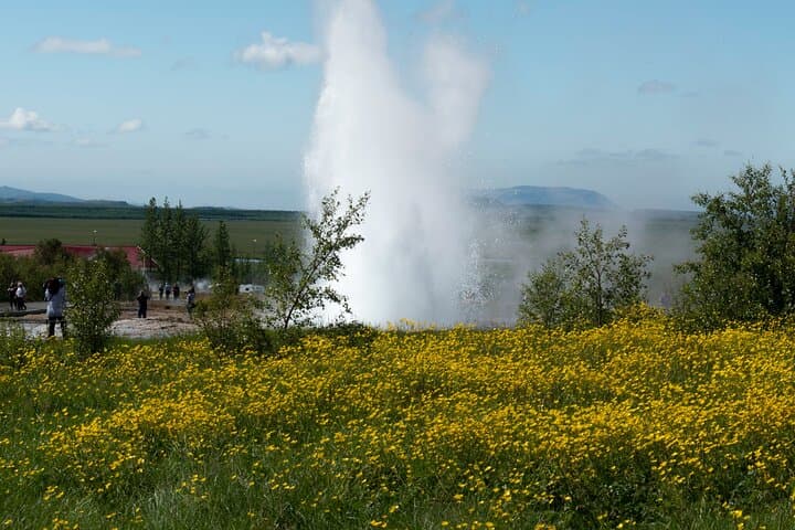 Private Tour: Golden Circle Essentials in minivan - photo 5