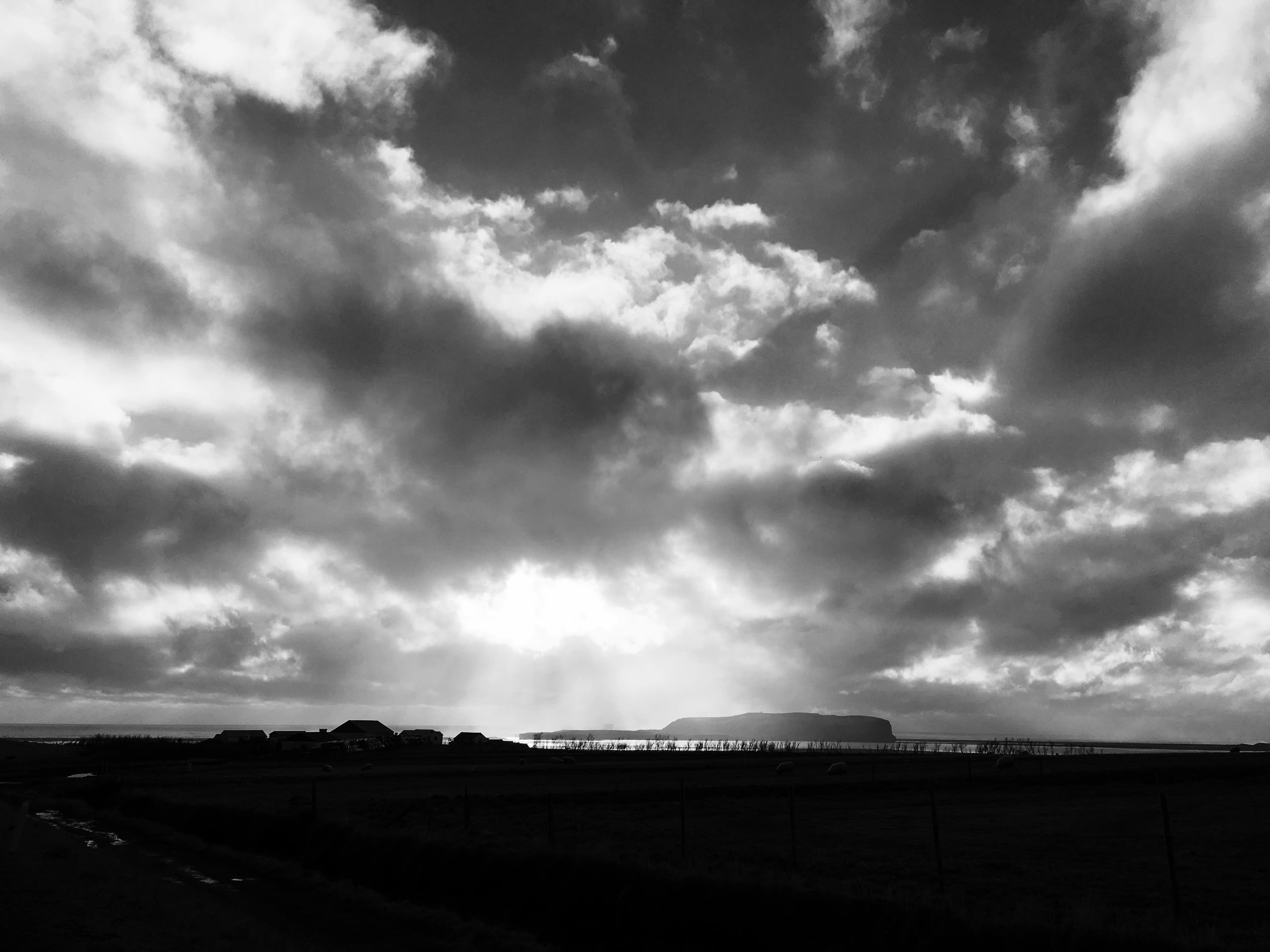 Private South Coast tour  - photo 5