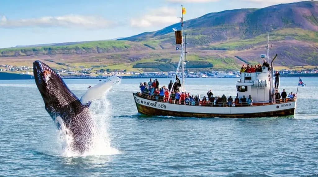 Private Nature Lovers Tour from Akureyri