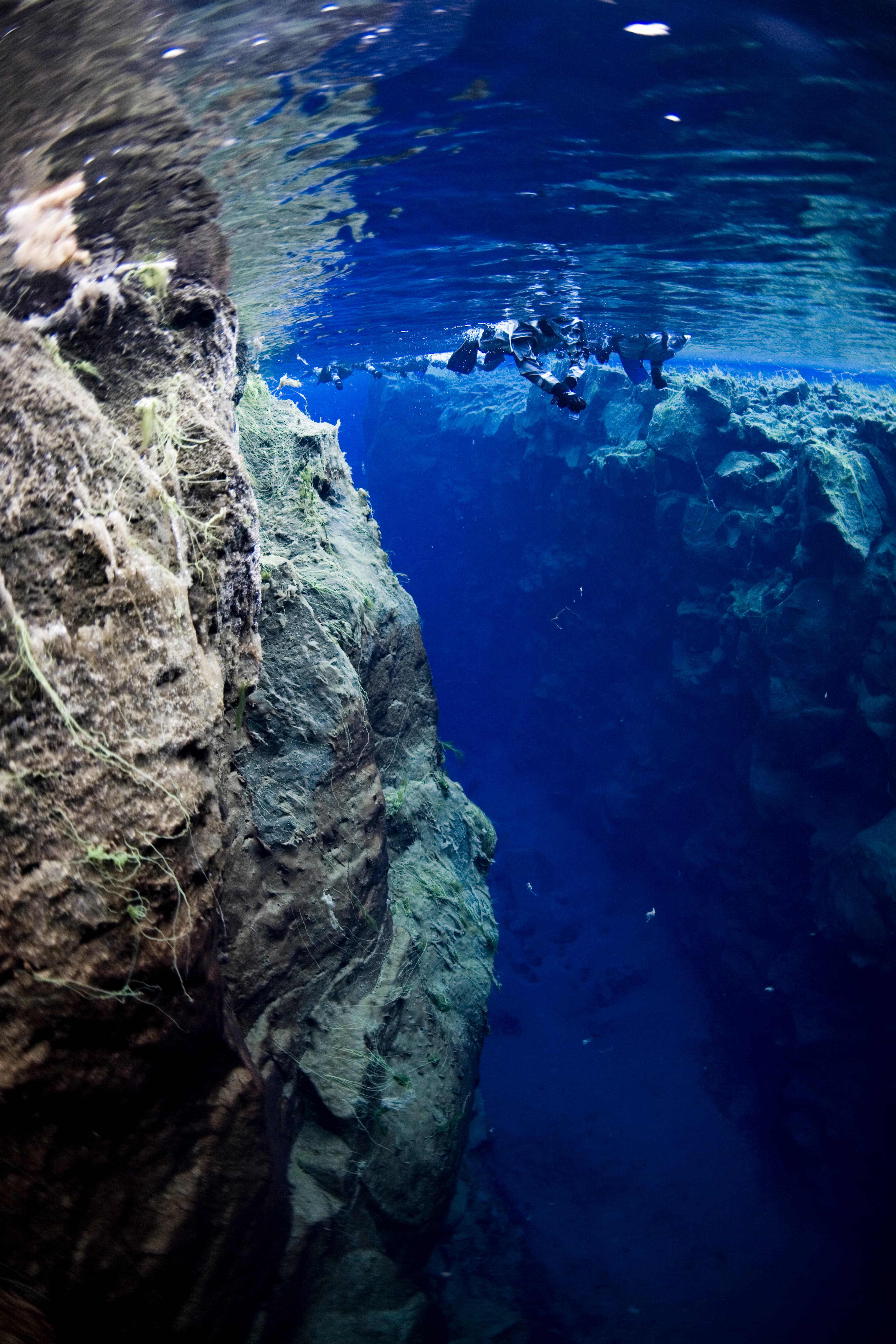 Into the Blue - Silfra Snorkeling