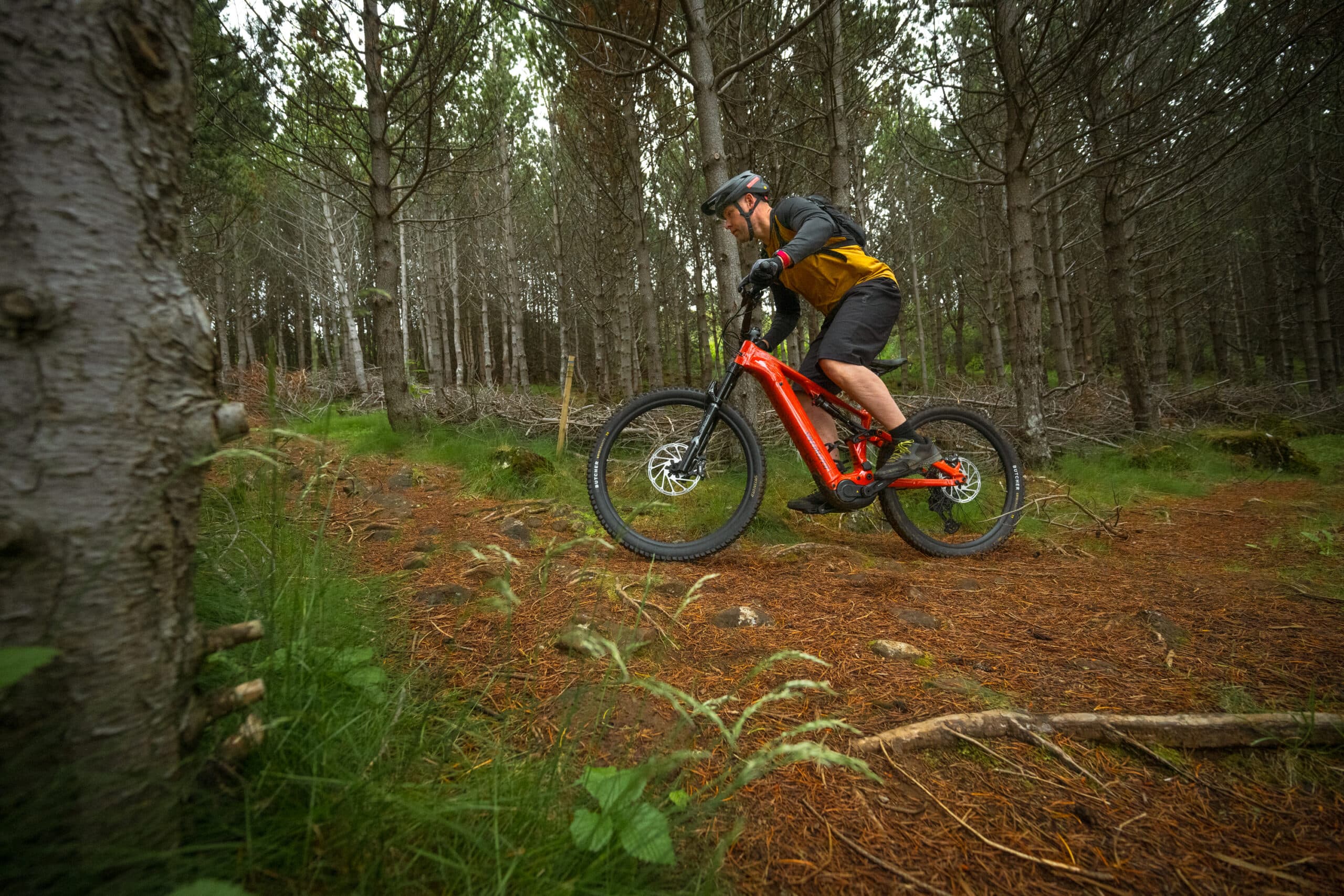 E-MOUNTAIN BIKE TOUR FOR BEGINNERS IN REYKJAVIK - photo 4