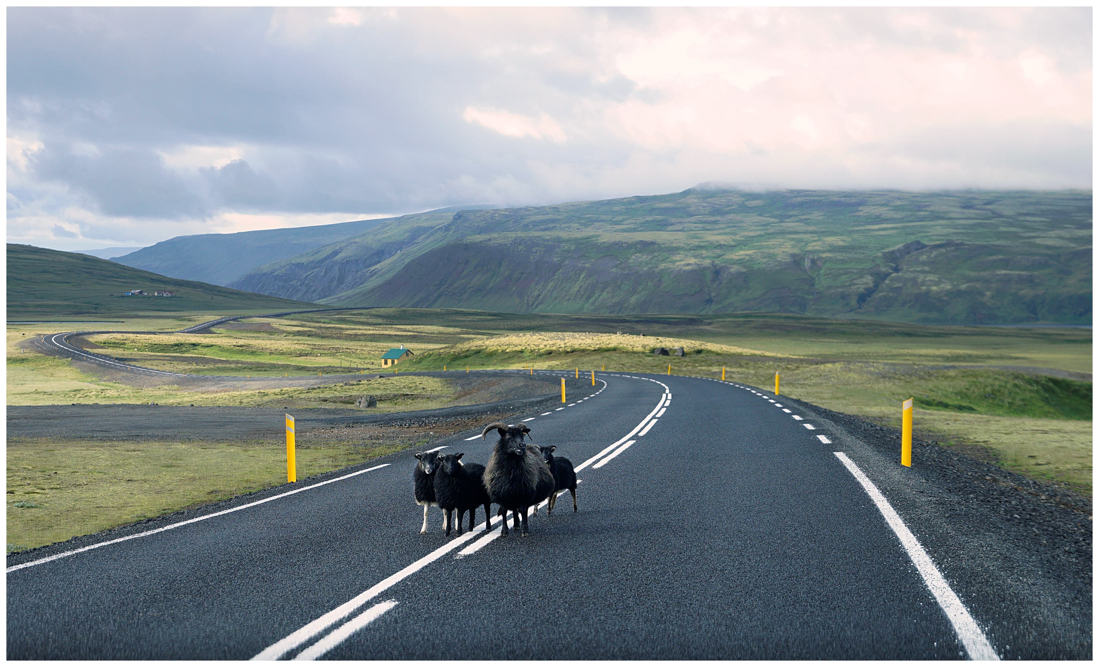 Iceland Solar Eclipse 2026 – Snæfellsnes Experience with Home-Cooked Dinner by Minibus - photo 12