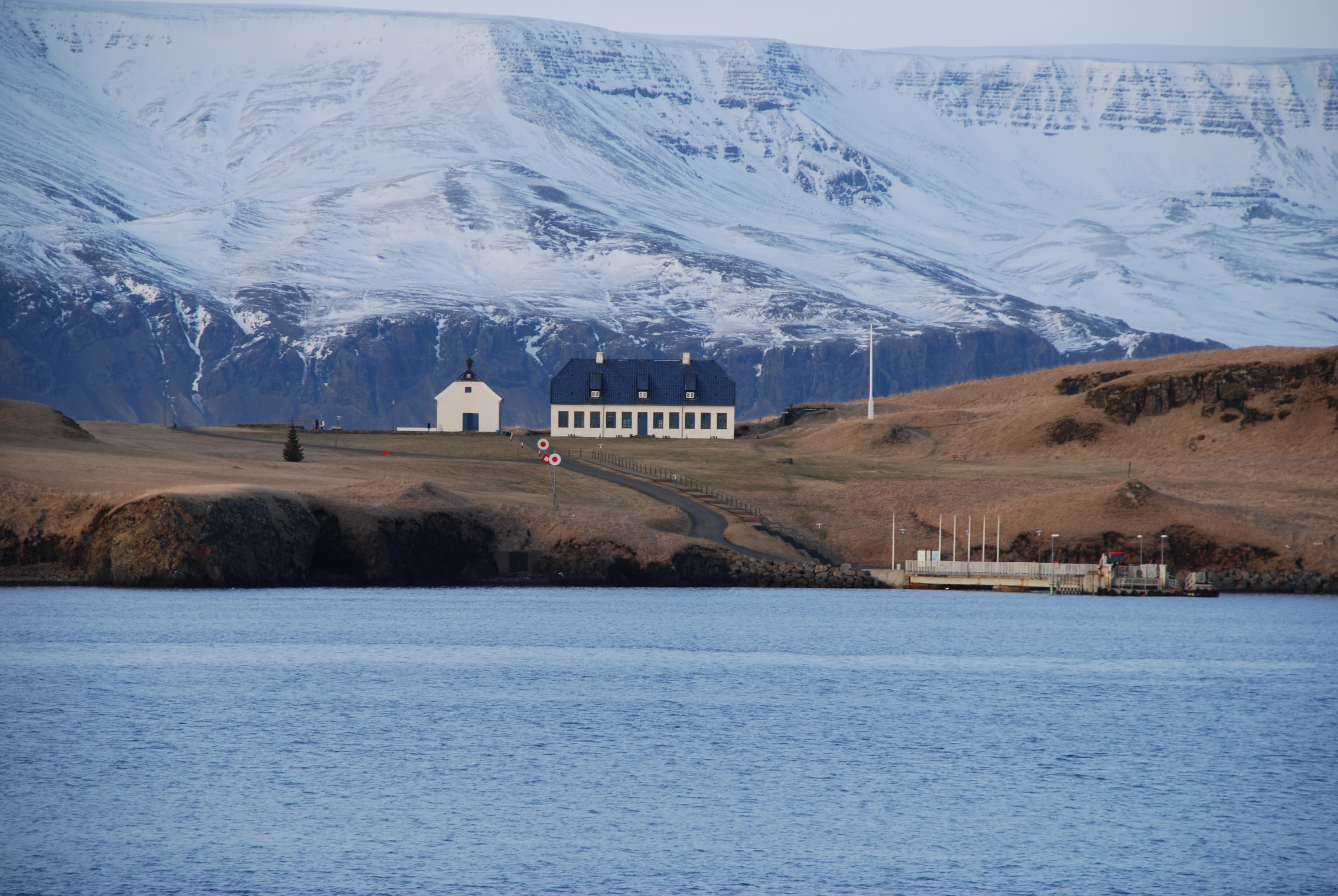 Reykjavík Whales & Viðey Island - photo 15