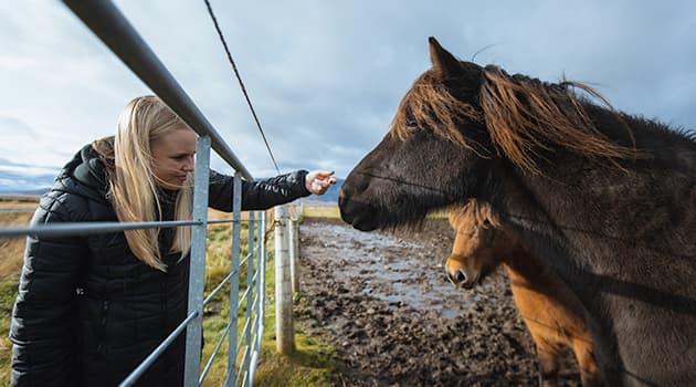 South Coast | Private Tour | Photo Package included - photo 8