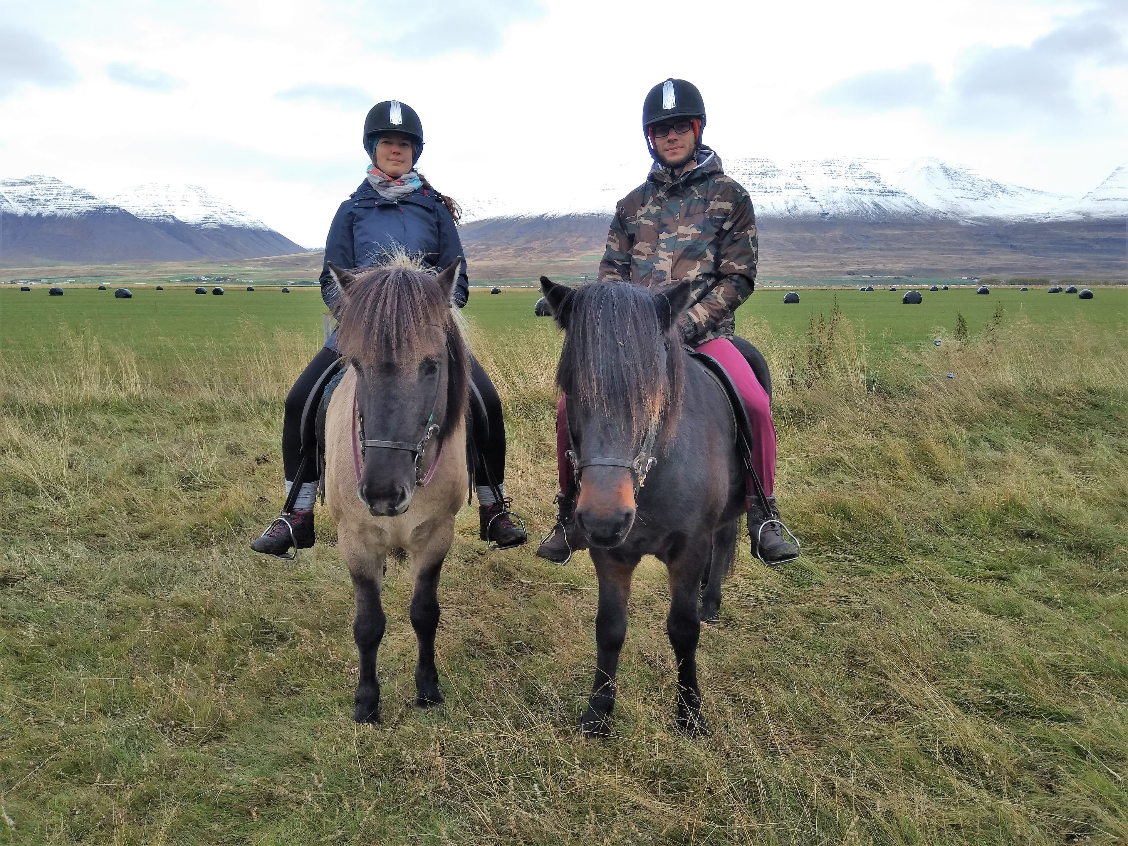 Pleasure in every hoof step - photo 12