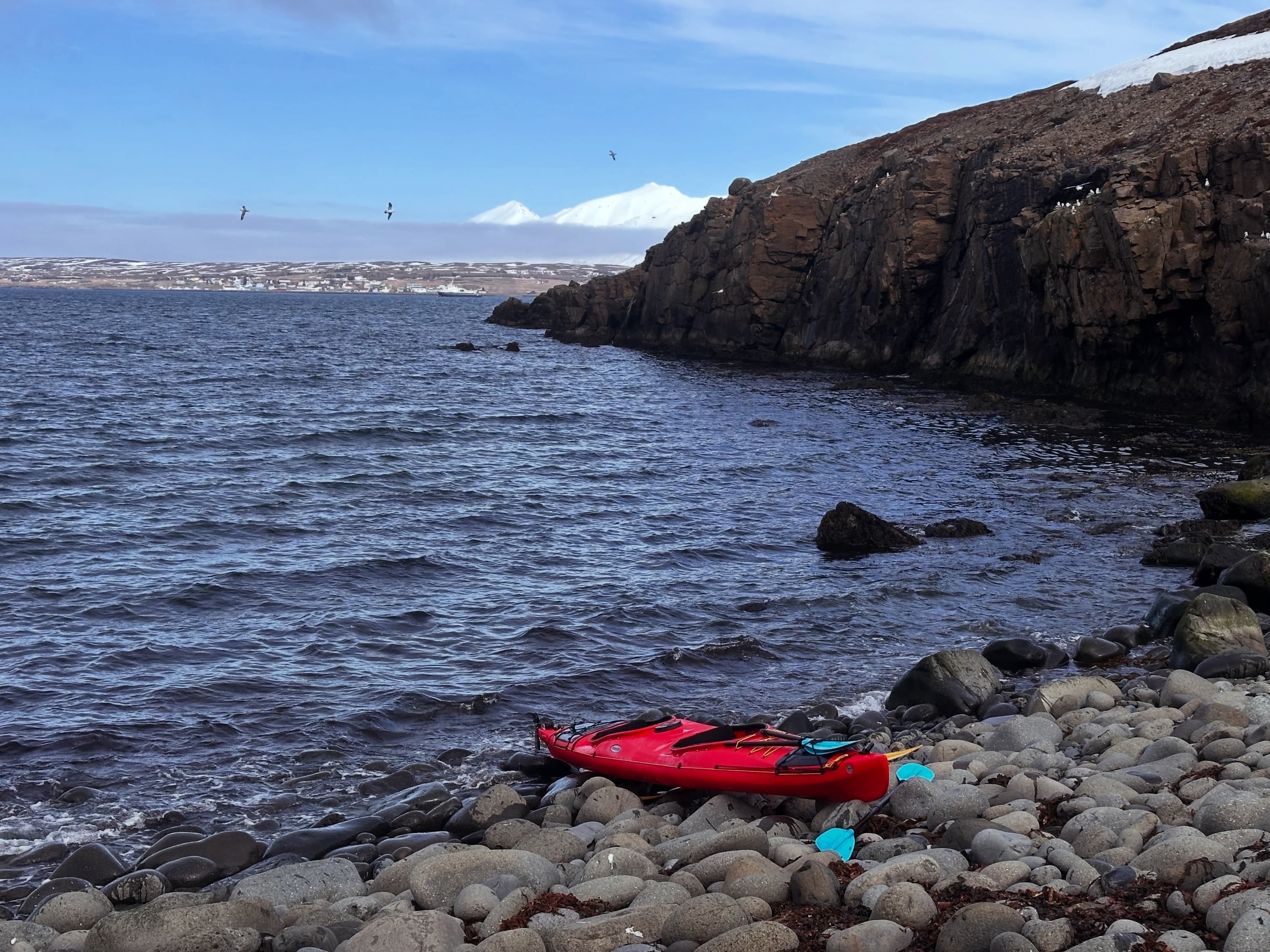 Guided Kayak Tour in Árskógssandur: Explore Coastline & Wildlife - photo 13