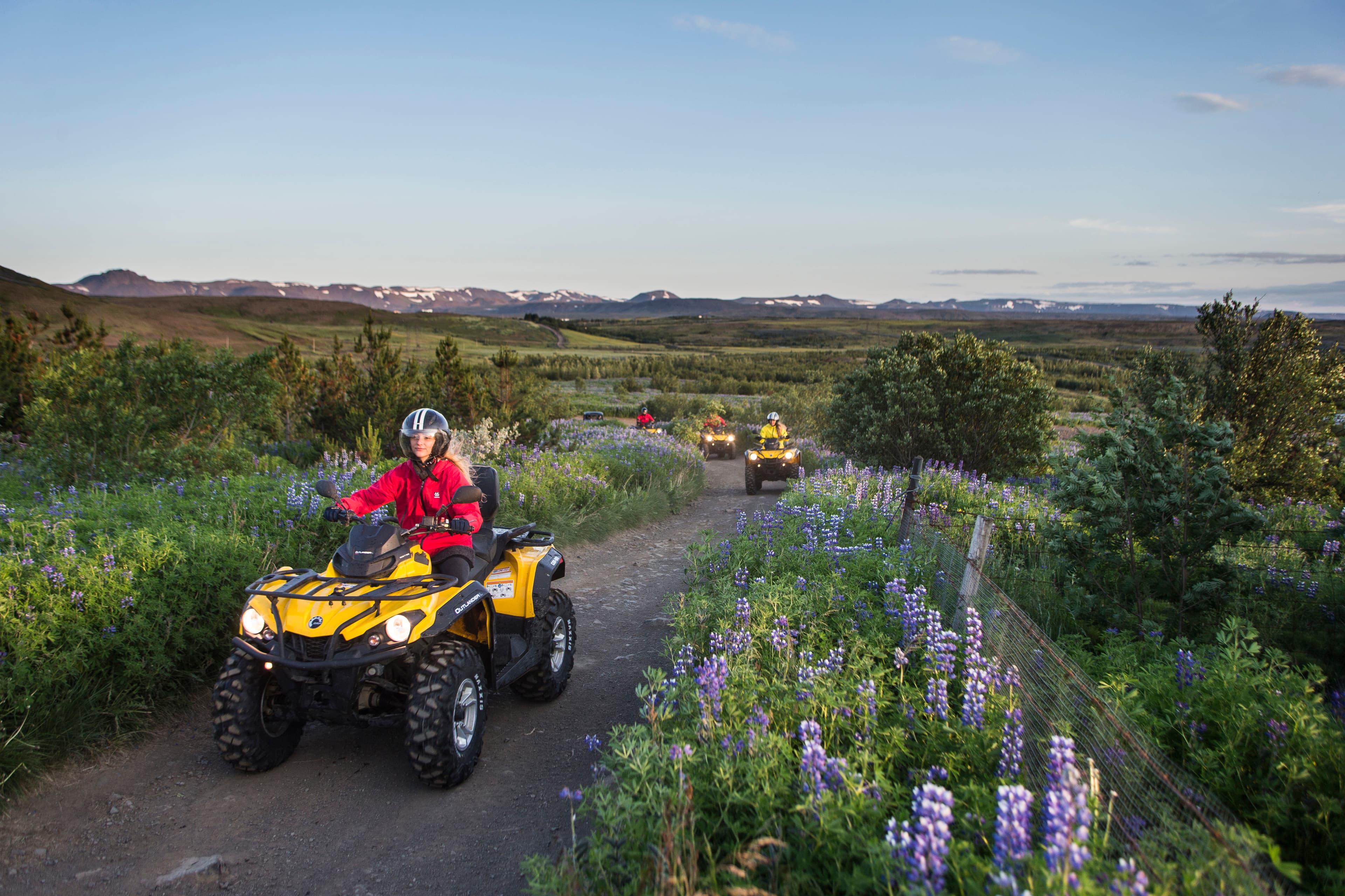 ATV & Golden Circle - photo 4