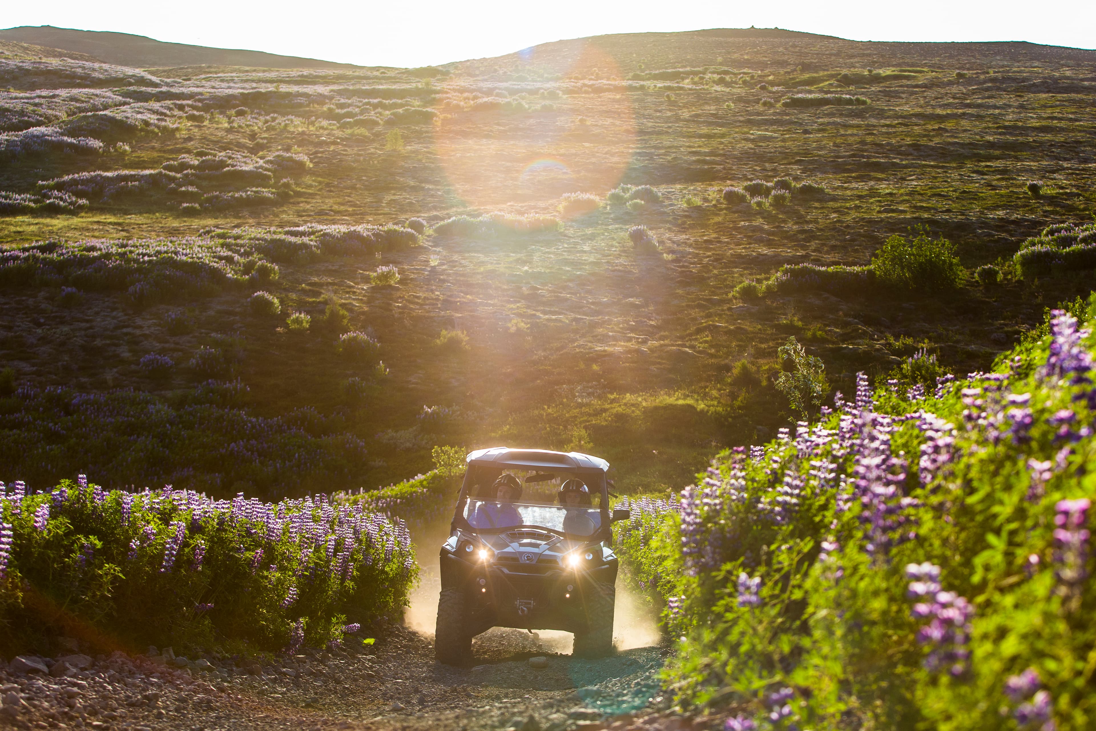 2 Hour Lava Field Buggy - photo 18