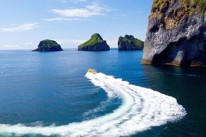Private Tour to Westman Islands with Extra Waterfall Visit - photo 3