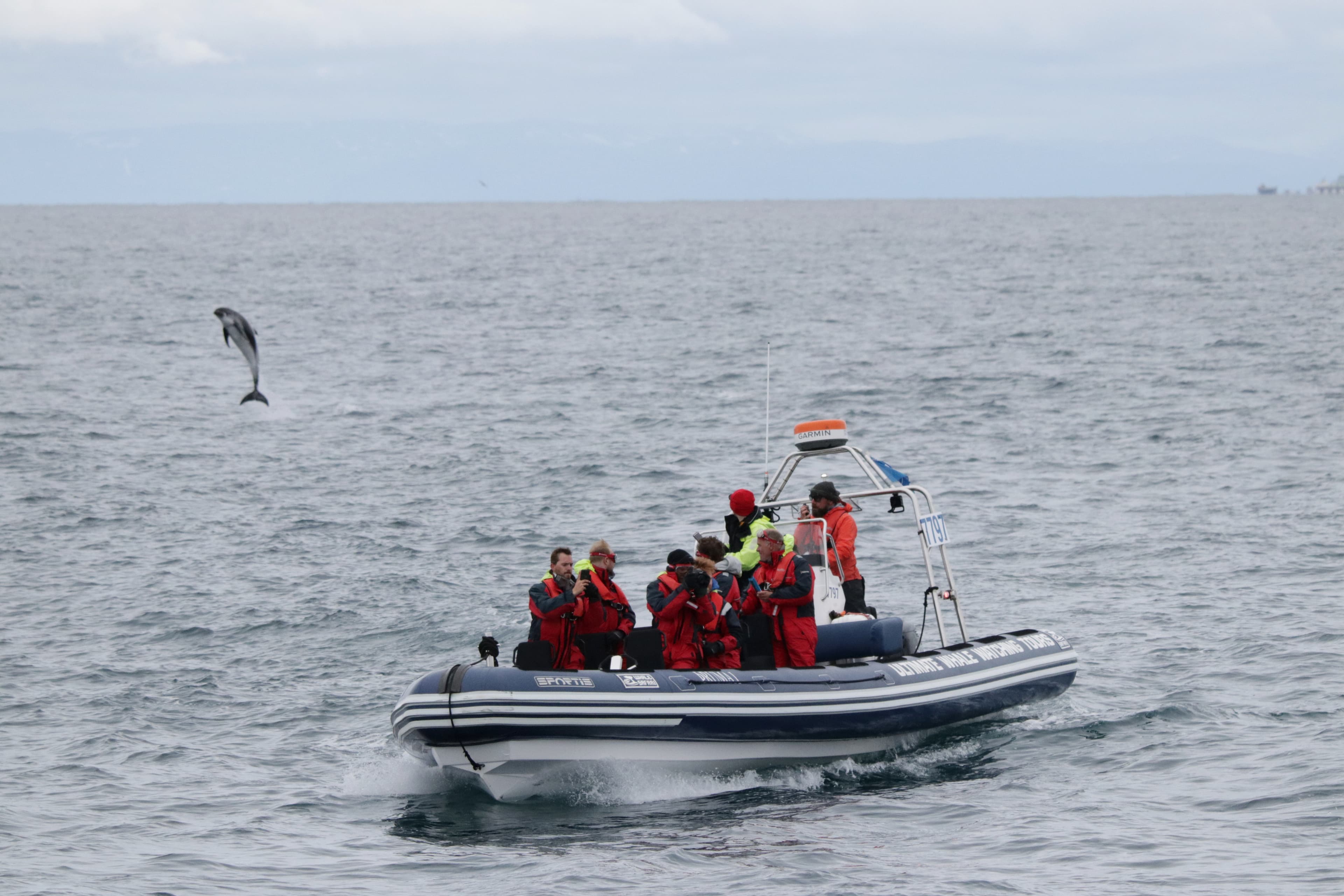Whales, Puffins & Reykjavík - photo 11