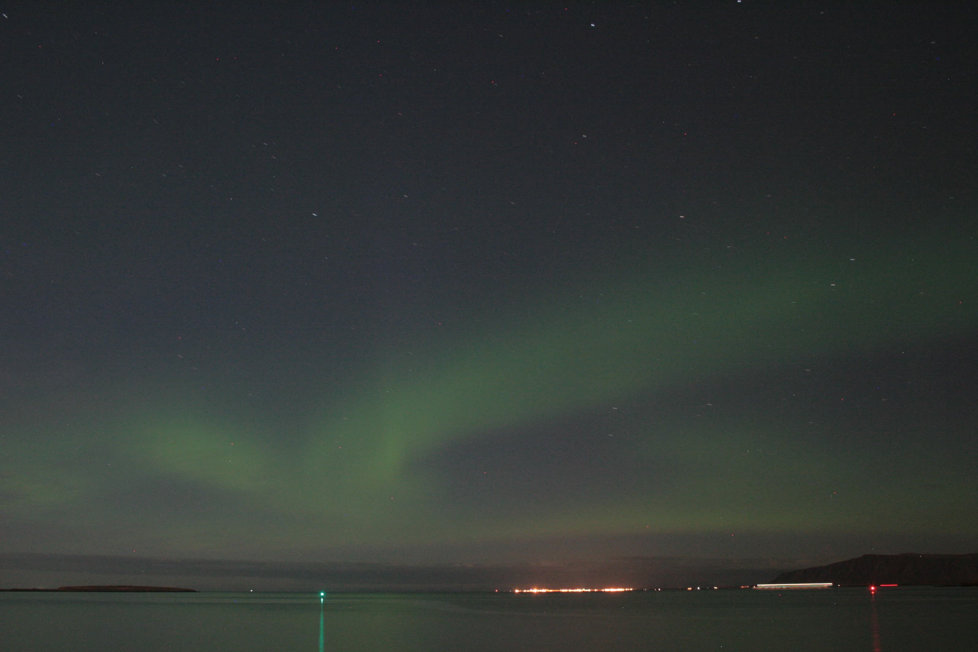 Whale Watching & Northern lights Combo Cruise from Reykjavik - photo 71