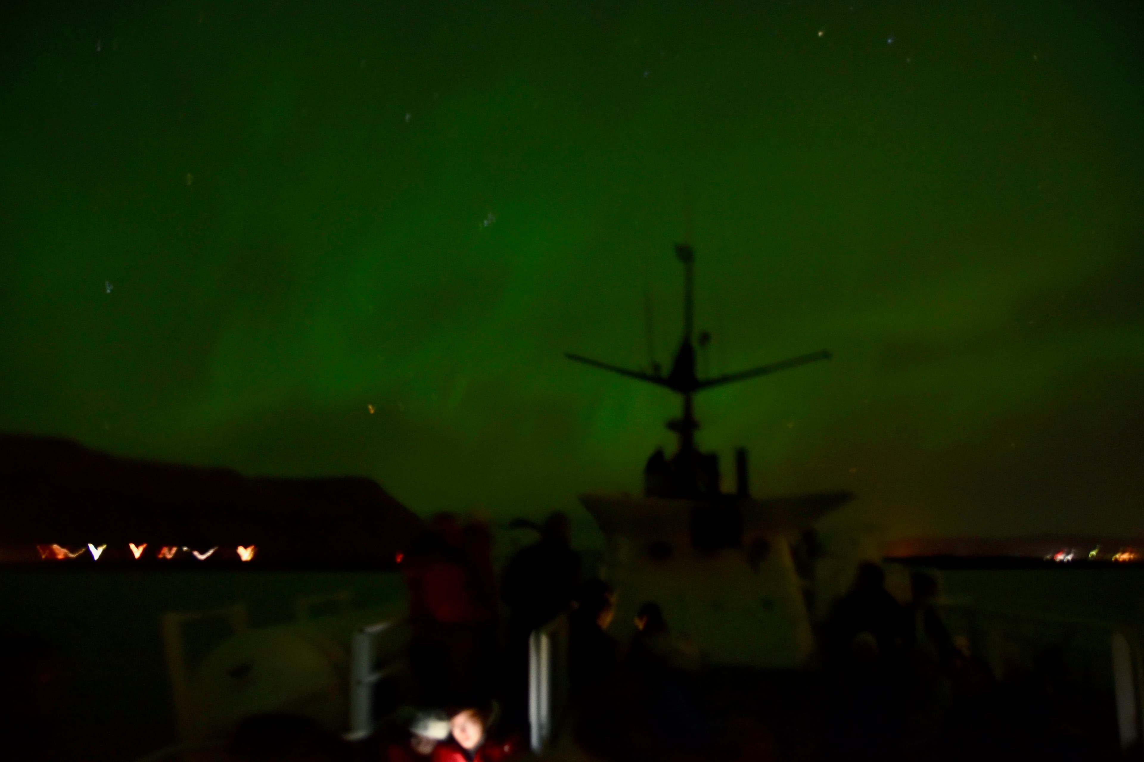 Reykjavík Whales & Northern Lights - photo 17