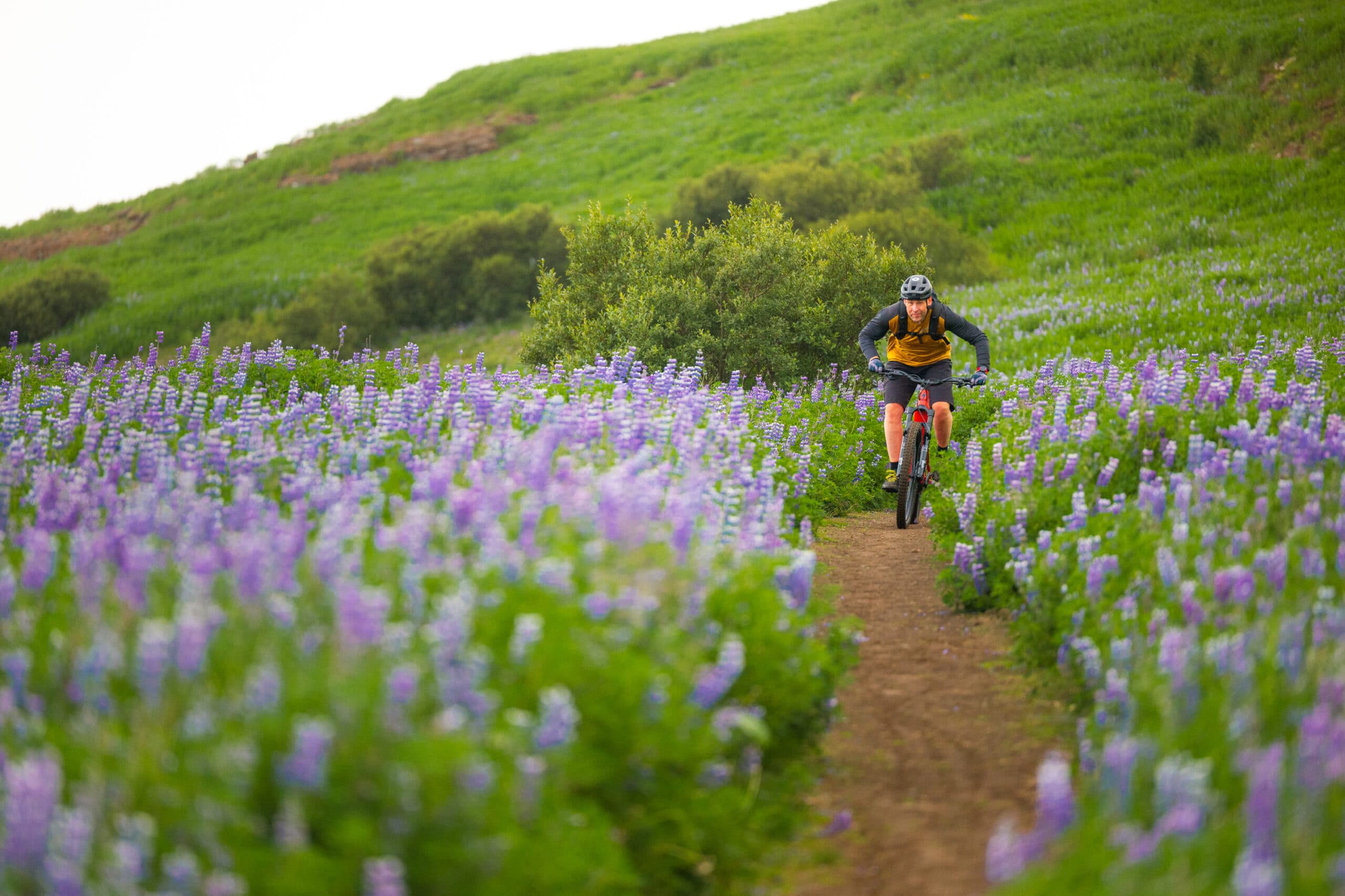 E-MOUNTAIN BIKE TOUR FOR BEGINNERS IN REYKJAVIK - photo 3