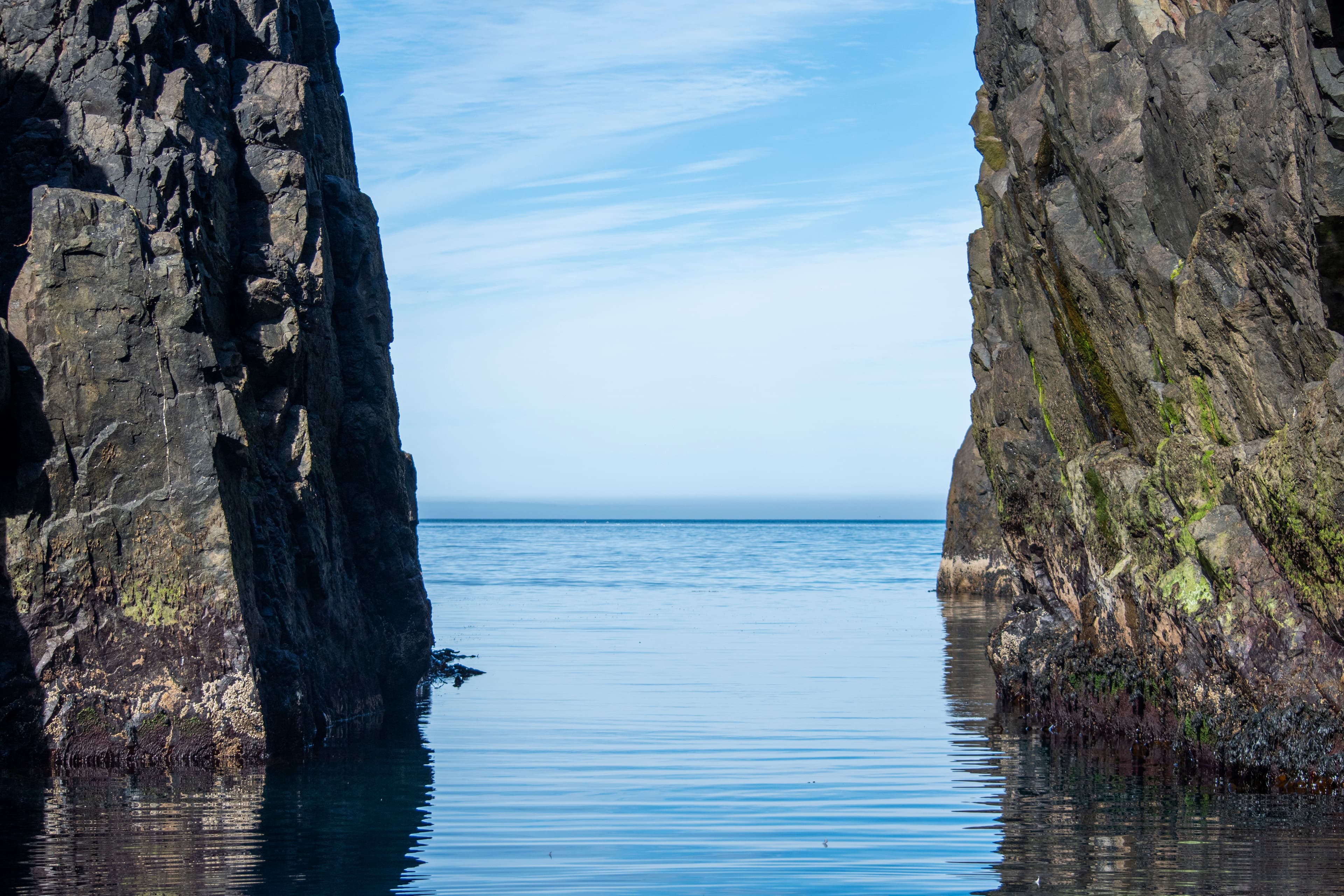 Puffin Quest - photo 24