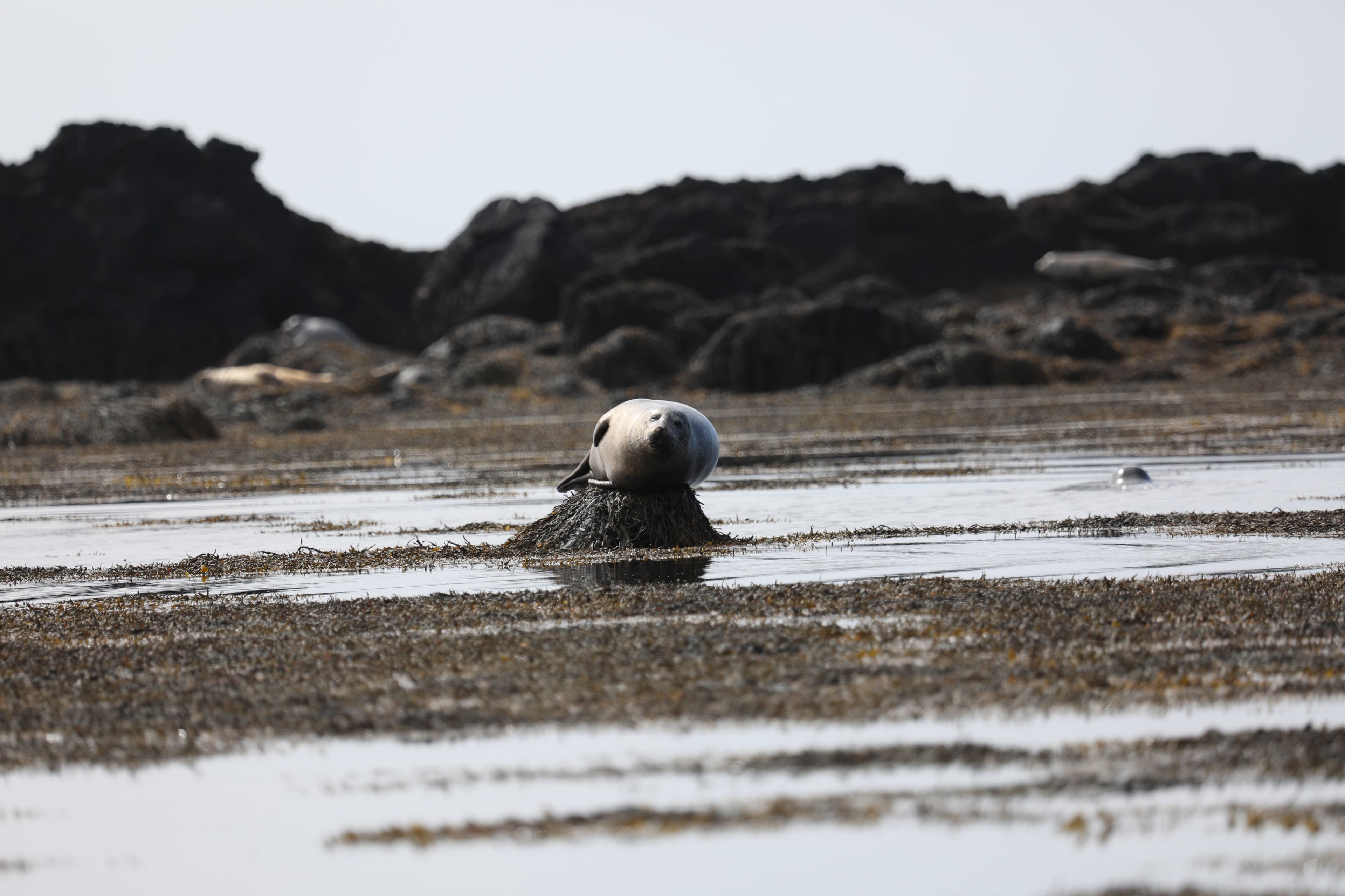 Private Super Jeep with driver guide - photo 11