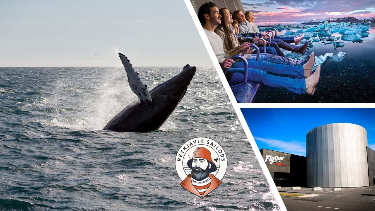 Whale Watching & FlyOver: Aerial Excursions and Oceanic Encounters - photo 15