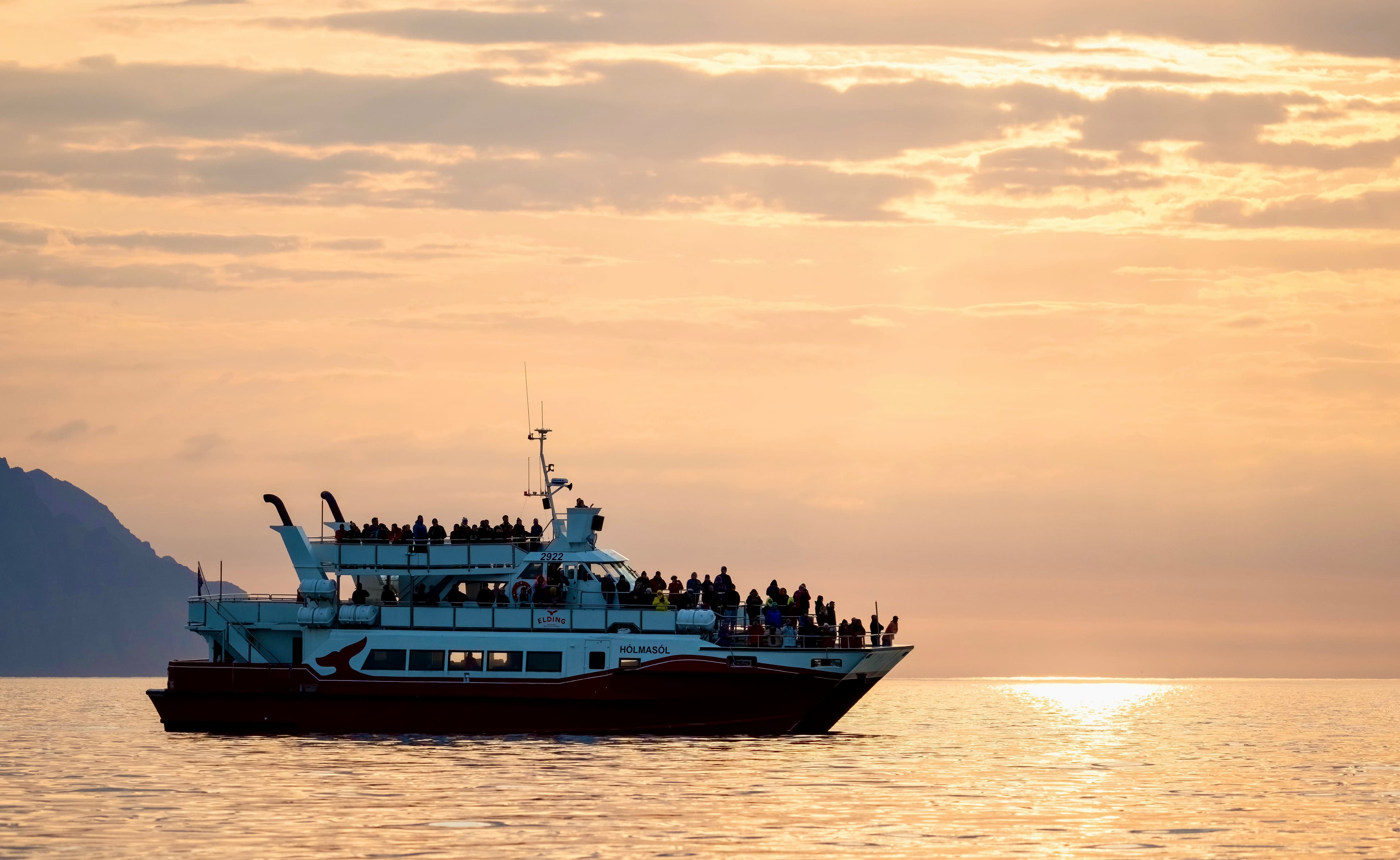 Akureyri Classic Whales in the Midnight Sun - photo 3
