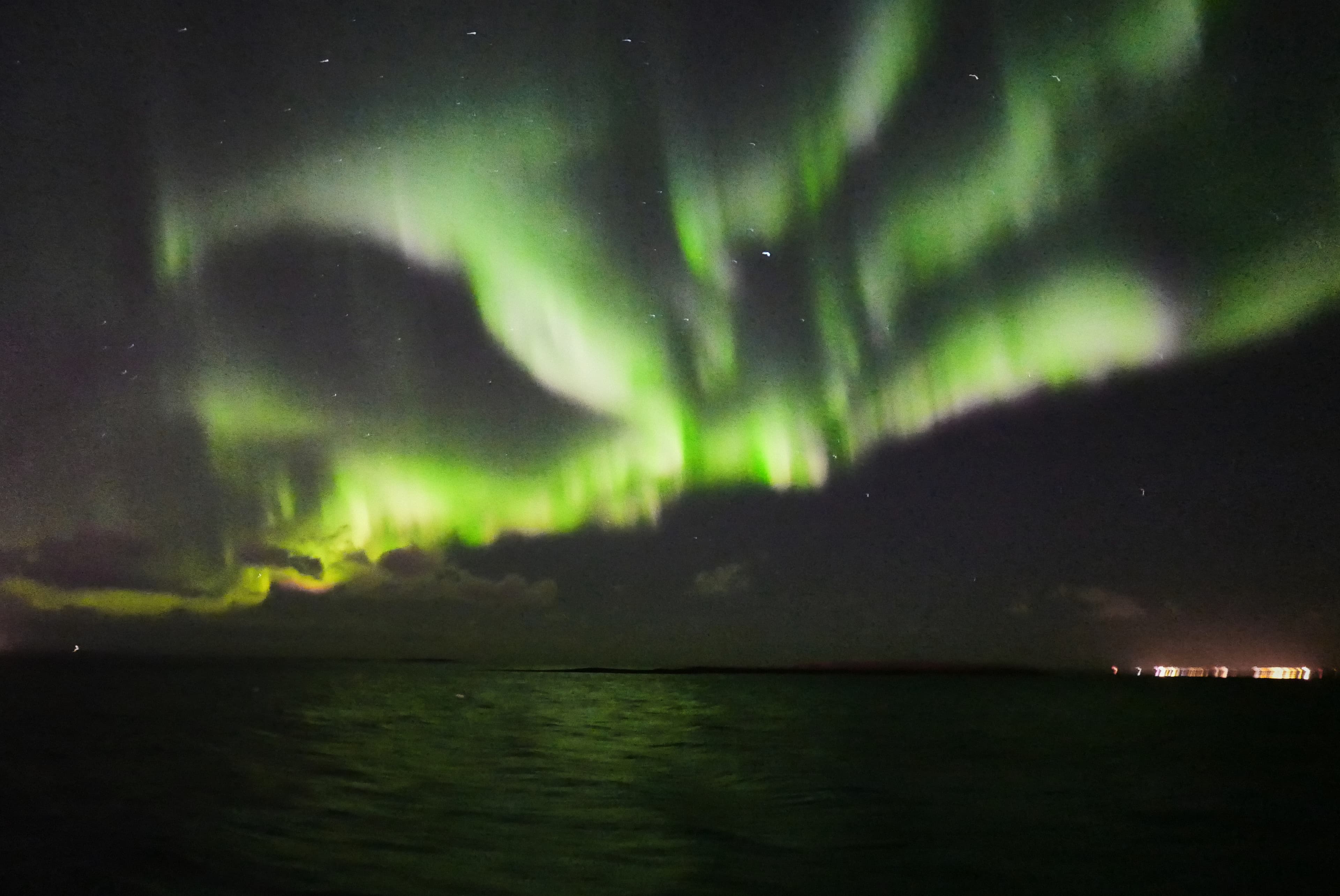 Golden Circle & Northern Lights by Boat Combo Tour - photo 29
